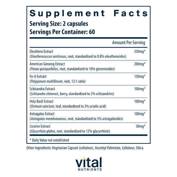 Vital Nutrients Energy Plus - Natural Energy Booster Supplement for Enhanced Focus & Stamina - Supports Daily Performance & Workout Recovery