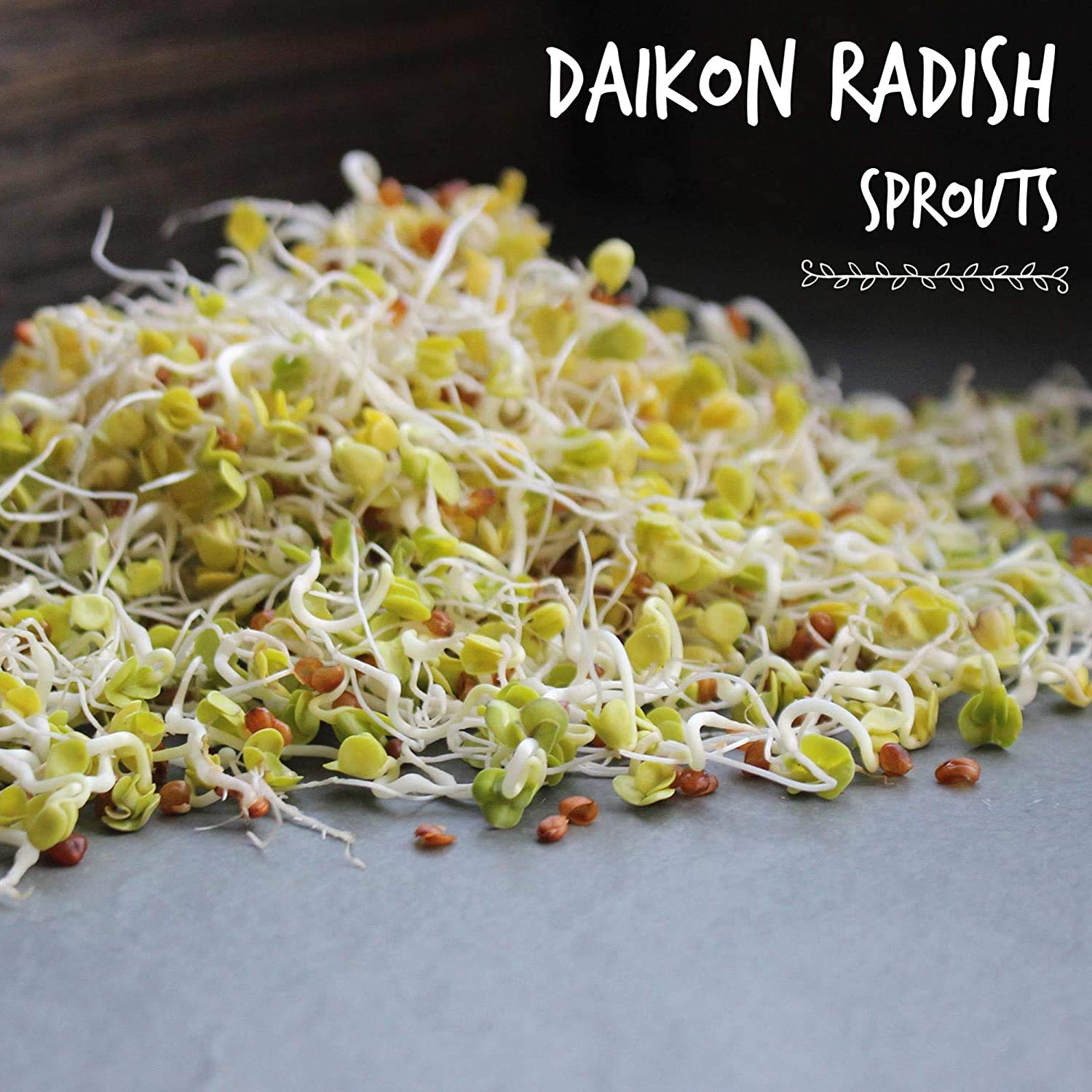 Organic Radish Sprouting Seeds - 4 Oz Non-GMO Heirloom Seeds for Microgreens, Hydroponics, Gardening, Cooking & Food Storage - Perfect for Salads, Sandwiches, Soups & Healthy Eating