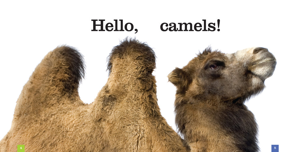 Camels Book - ISBN 9781608185139 - Perfect for Animal Lovers & Desert Adventure Enthusiasts