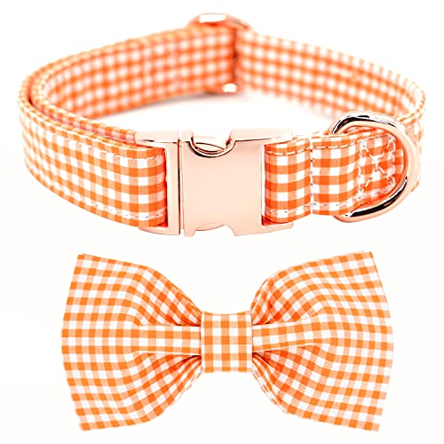 Orange Plaid Collar