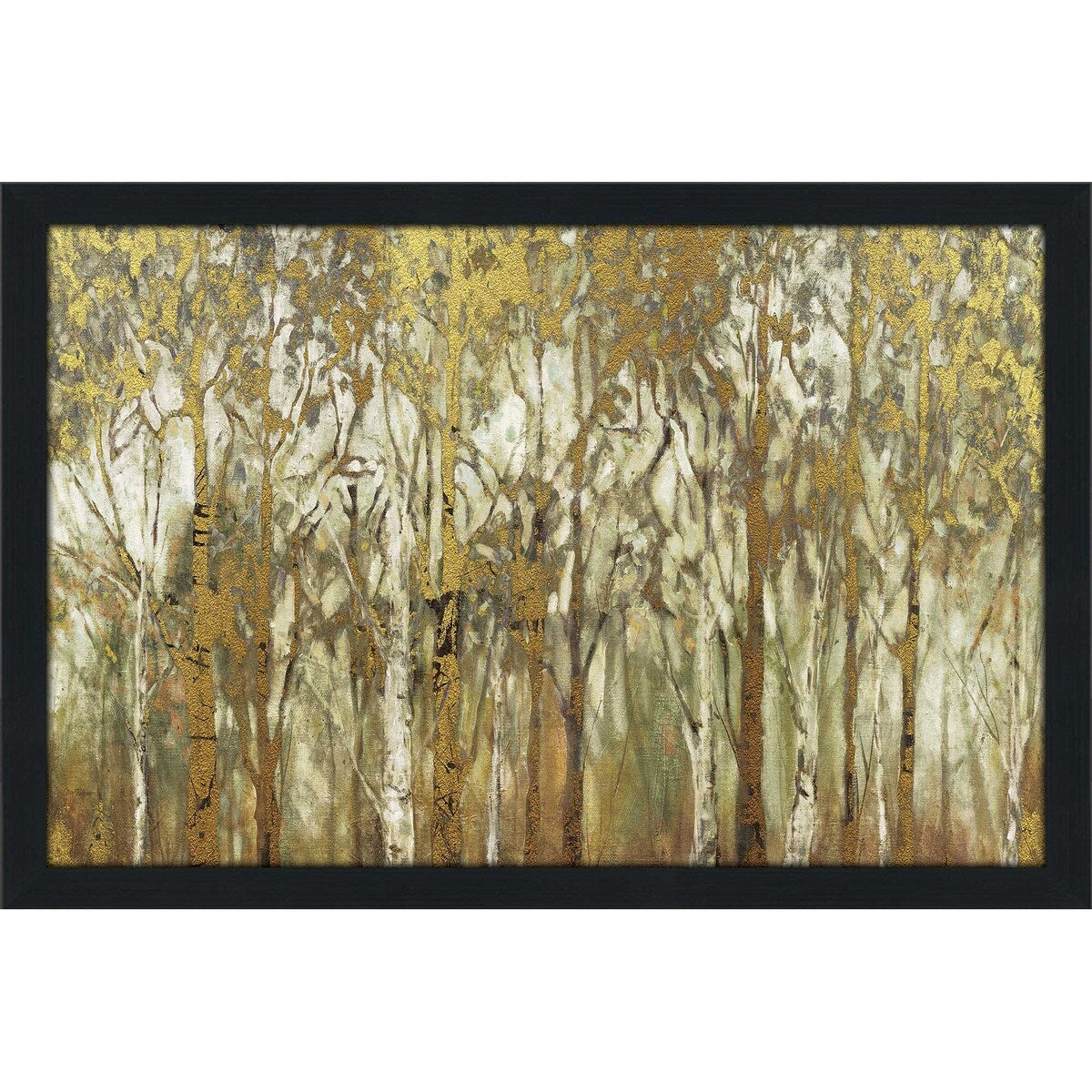 Birch Grove Panoramic by Carol Robinson - Stunning Acrylic Wall Art Print for Home & Office Decor - Perfect for Living Room, Bedroom, or Office Spaces