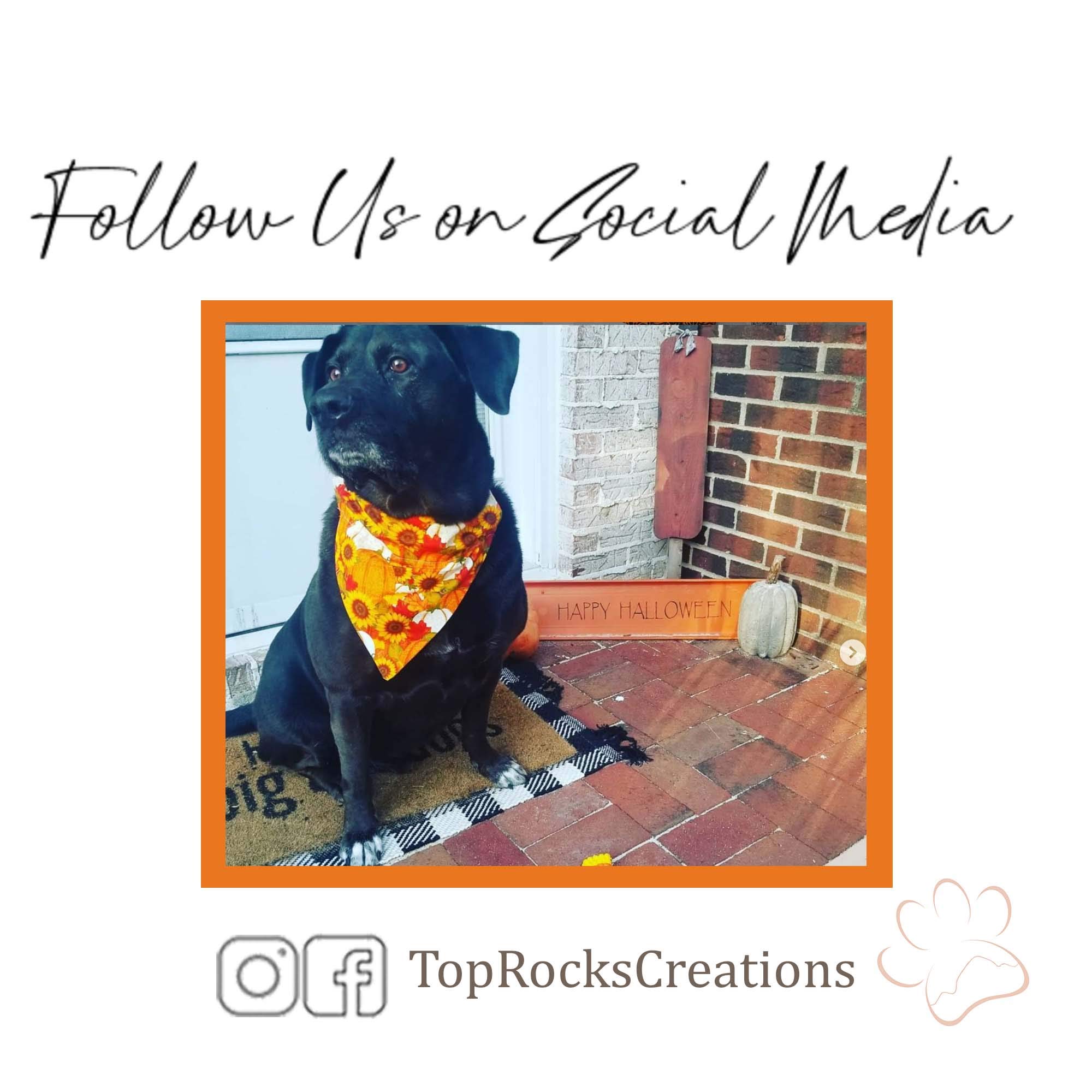 Halloween Dog Bandana - Extra Large Over The Collar Pet Accessory for Dogs | Costume Party, Trick or Treat, Photo Props, Holiday Celebration