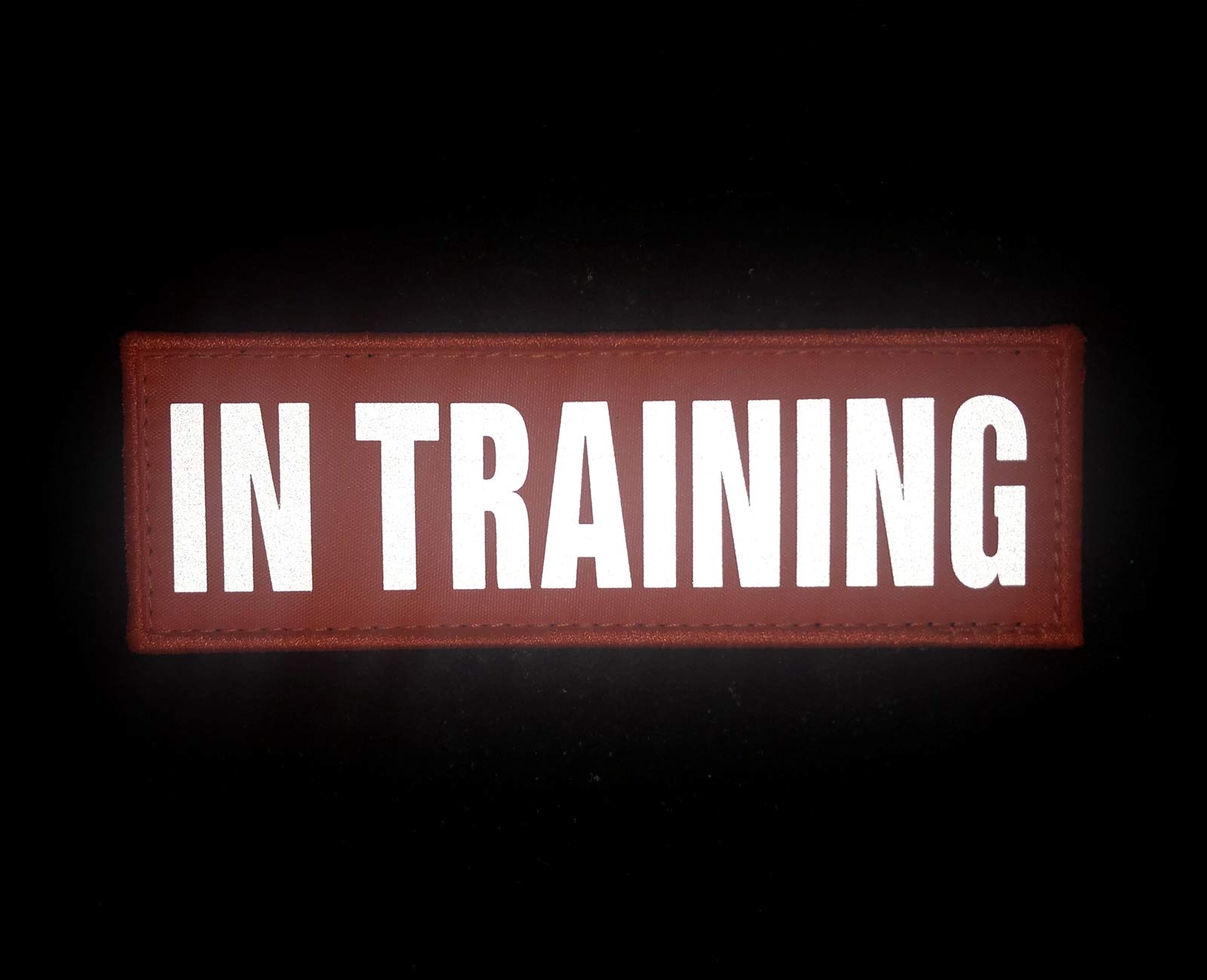 JUJUPUPS Orange Reflective Dog Patches 2 Pack - Service Dog Training Patches with Hook & Loop for Vests & Harnesses (4x1 inch) - High Visibility DO NOT PET Badges for Safety - Perfect for Training, Walks & Public Outings