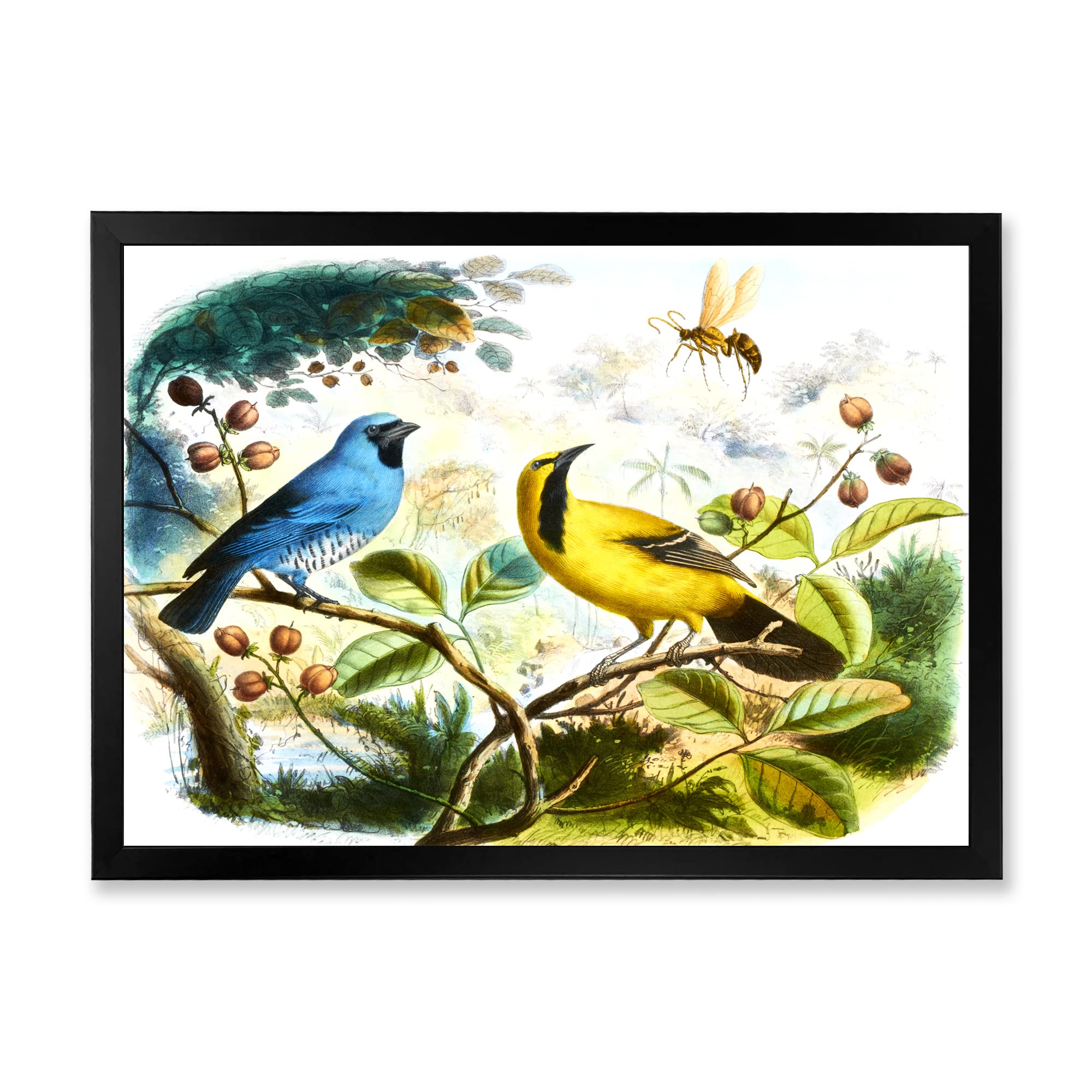 Blue and Yellow Bird in the Wild - Traditional Framed Wall Art Painting - Nature Inspired Home Decor for Living Room, Bedroom & Office