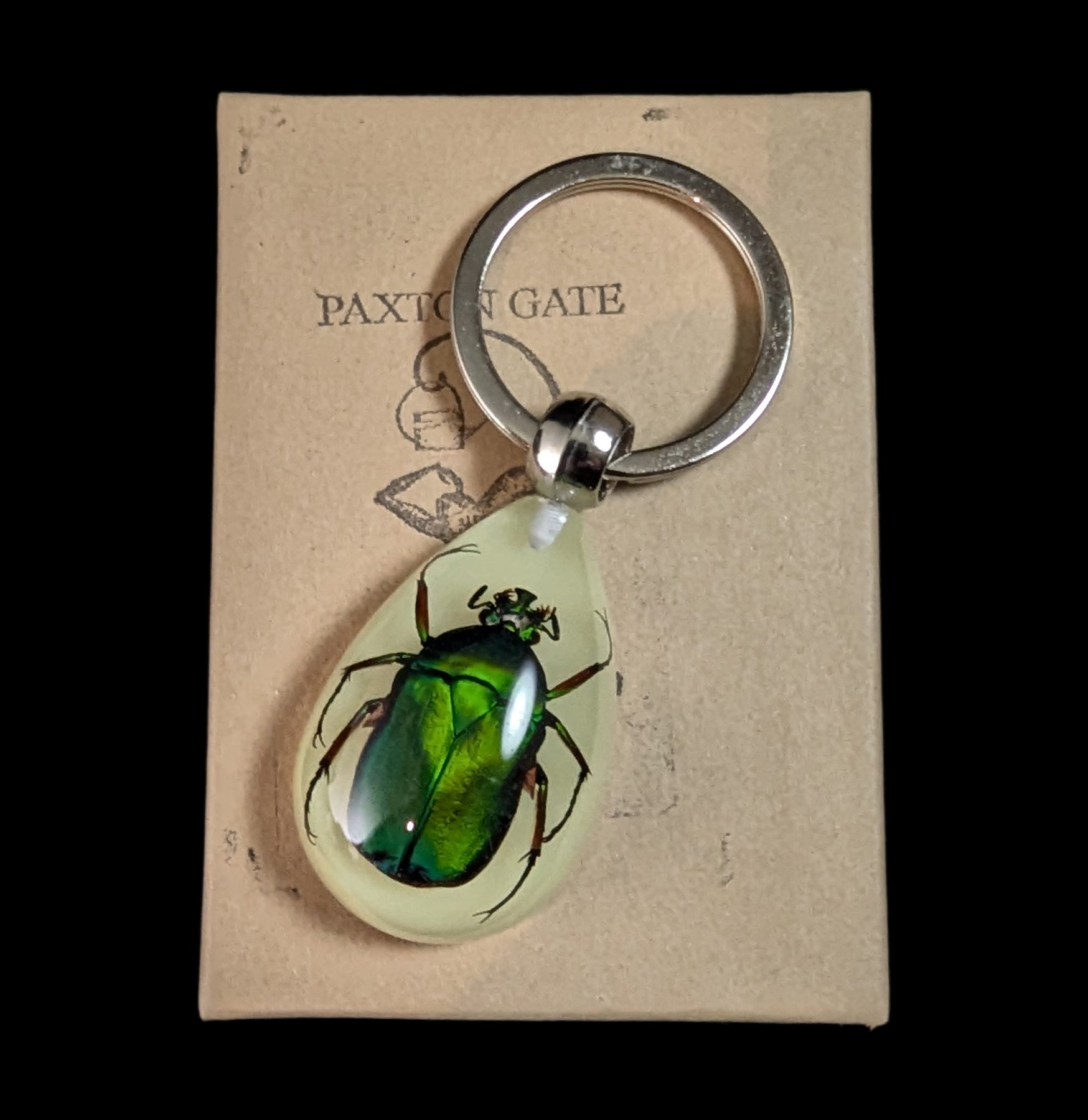 Glow in The Dark Beetle Keychain - Luminous Insect Keyring for Night Visibility - Perfect for Camping, Hiking & Outdoor Adventures