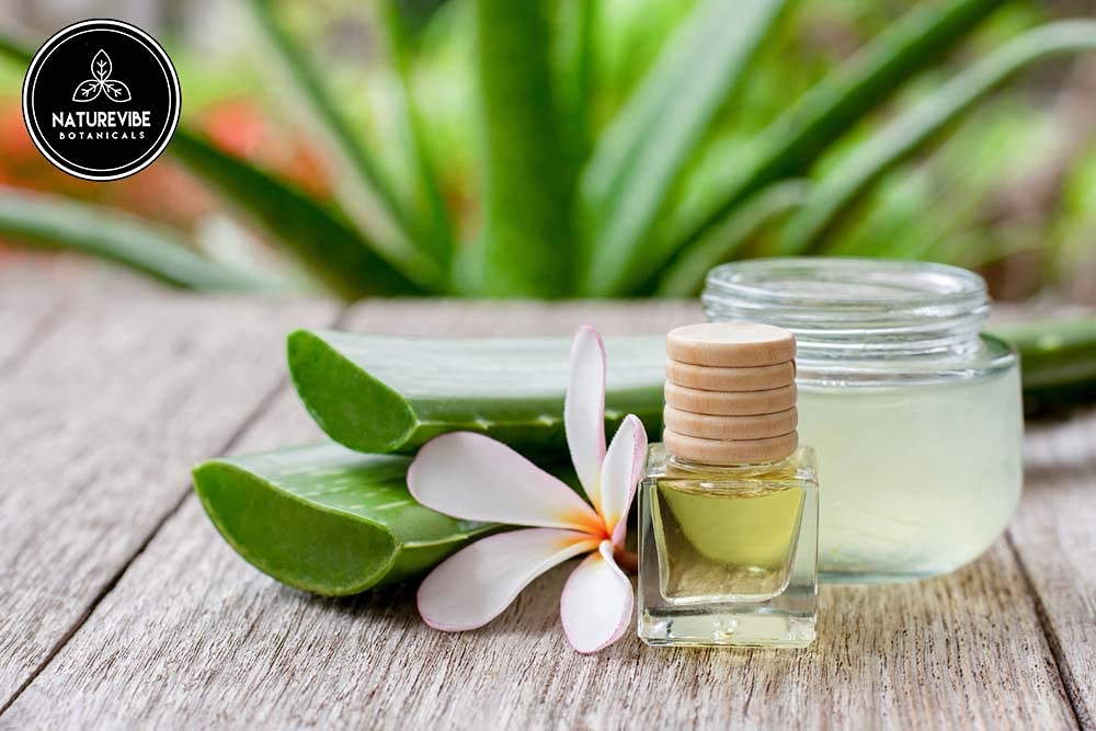 Naturevibe Botanicals Organic Plum Oil & Aloe Vera Oil Combo - 32oz Each | Cold Pressed, Unrefined for Hair, Skin & Massage | Perfect for DIY Beauty & Aromatherapy