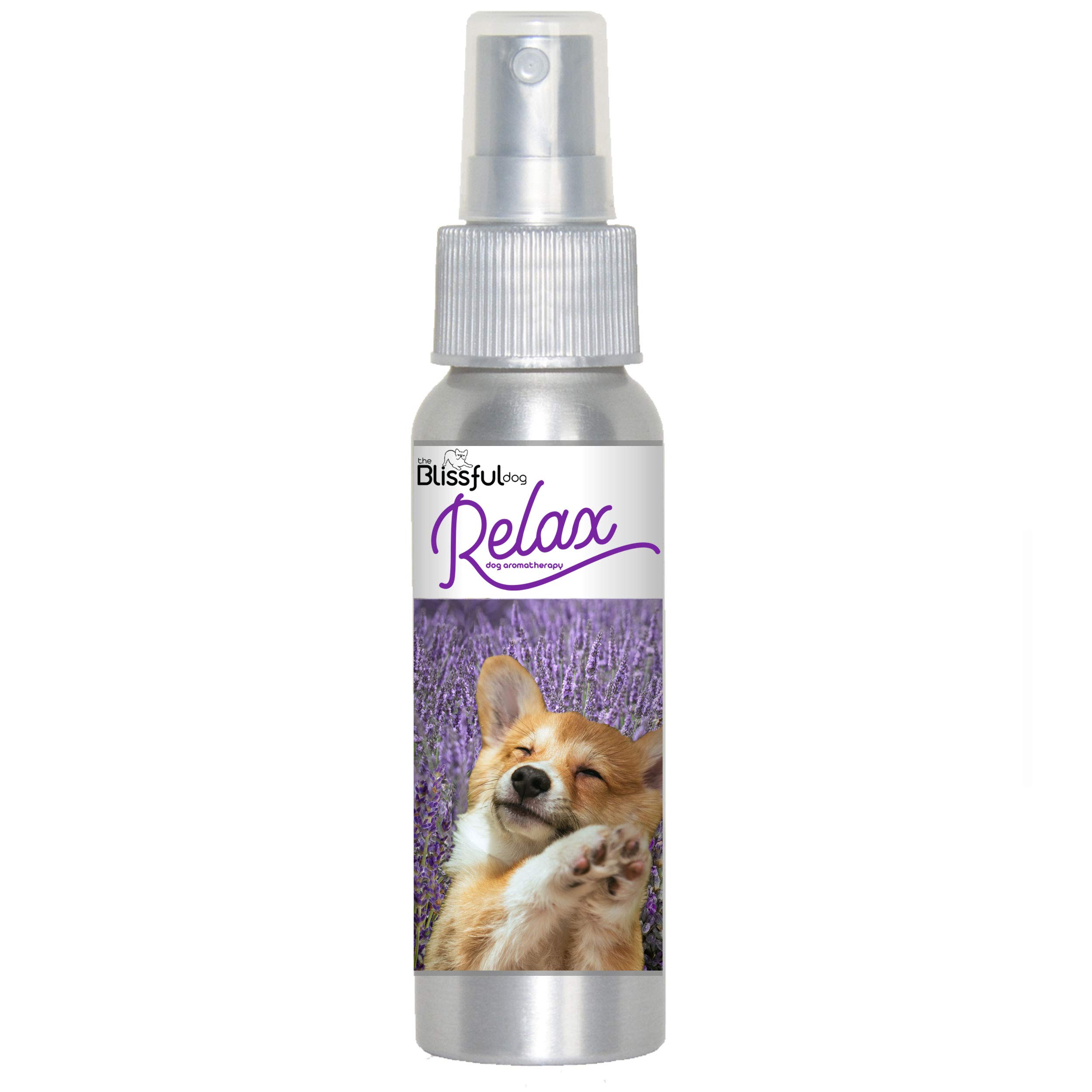 The Blissful Dog Corgi Relax Aromatherapy Spray for Dog Anxiety Relief - Calming Scent for Stress, Travel & Vet Visits