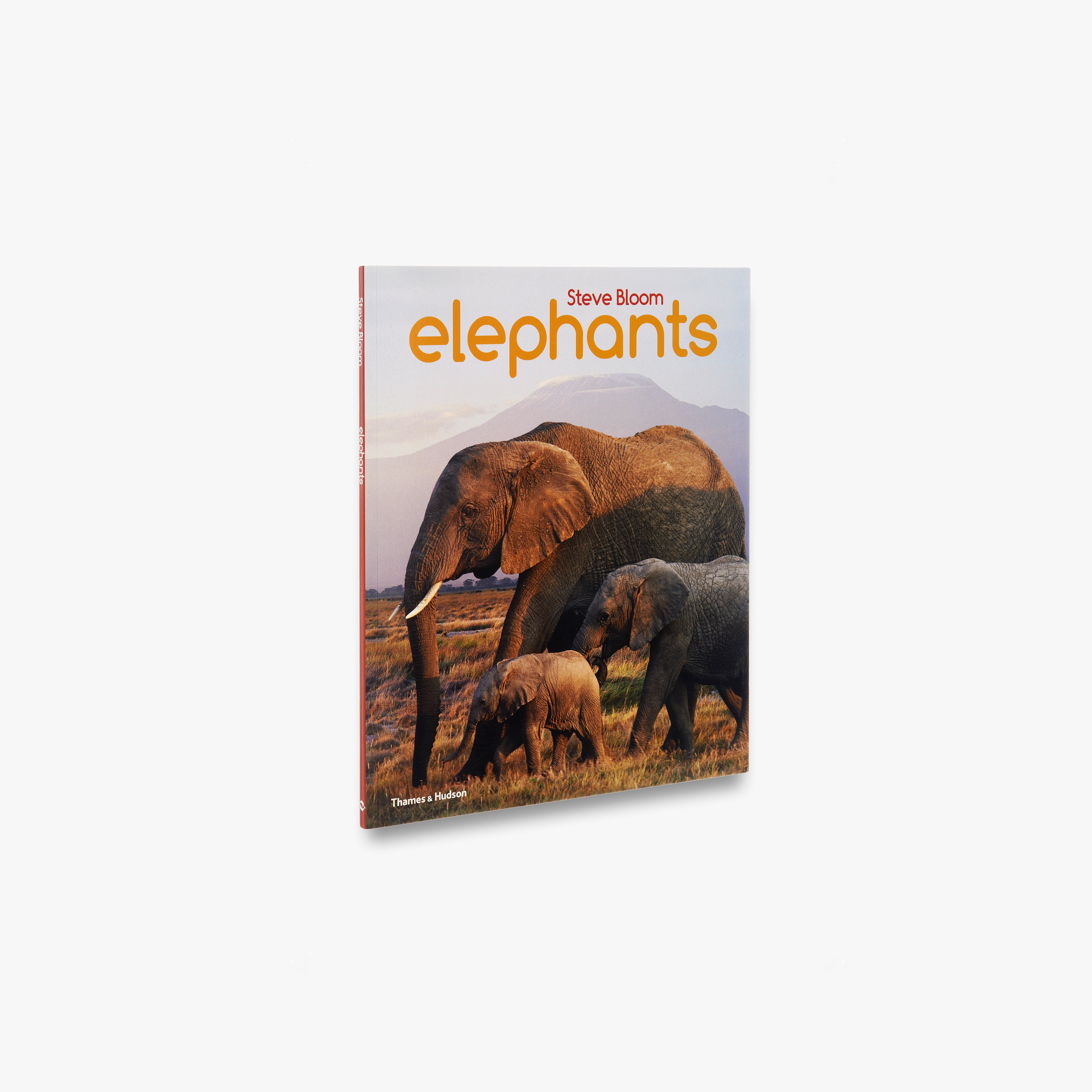 Elephant Figurines & Decor - Handcrafted Elephant Statues for Home, Office & Garden Decor | Perfect for Gifts, Feng Shui & Wildlife Lovers