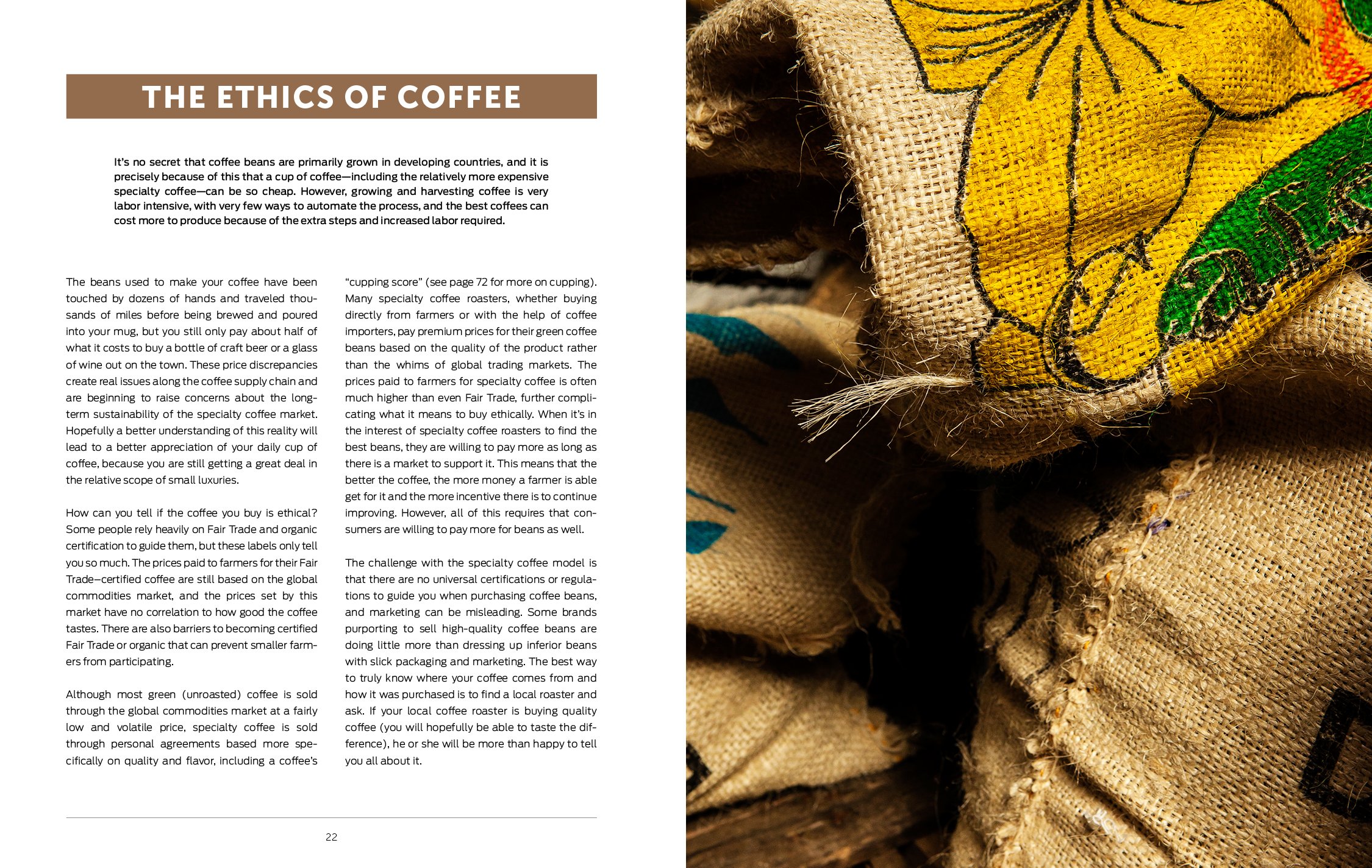 Brew Better Coffee at Home: Premium Coffee Beans & Brewing Kits for Perfect Morning Coffee | Ideal for Home Baristas & Coffee Lovers