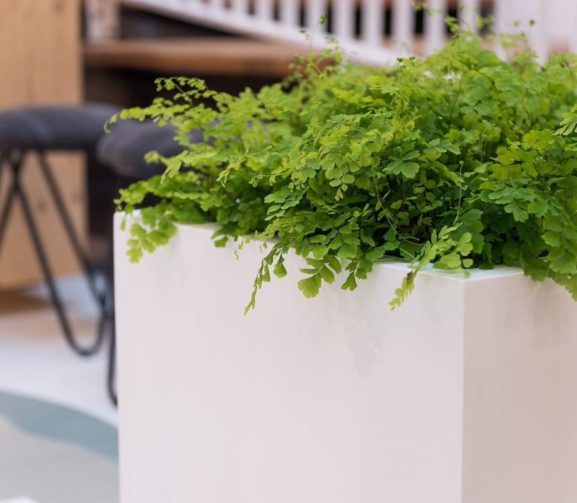 E1003-30-MW Modern Square Fiberstone Planter Pot - Matte White Indoor/Outdoor Plant Container for Home Decor, Patio & Garden | Perfect for Succulents, Herbs & Small Plants