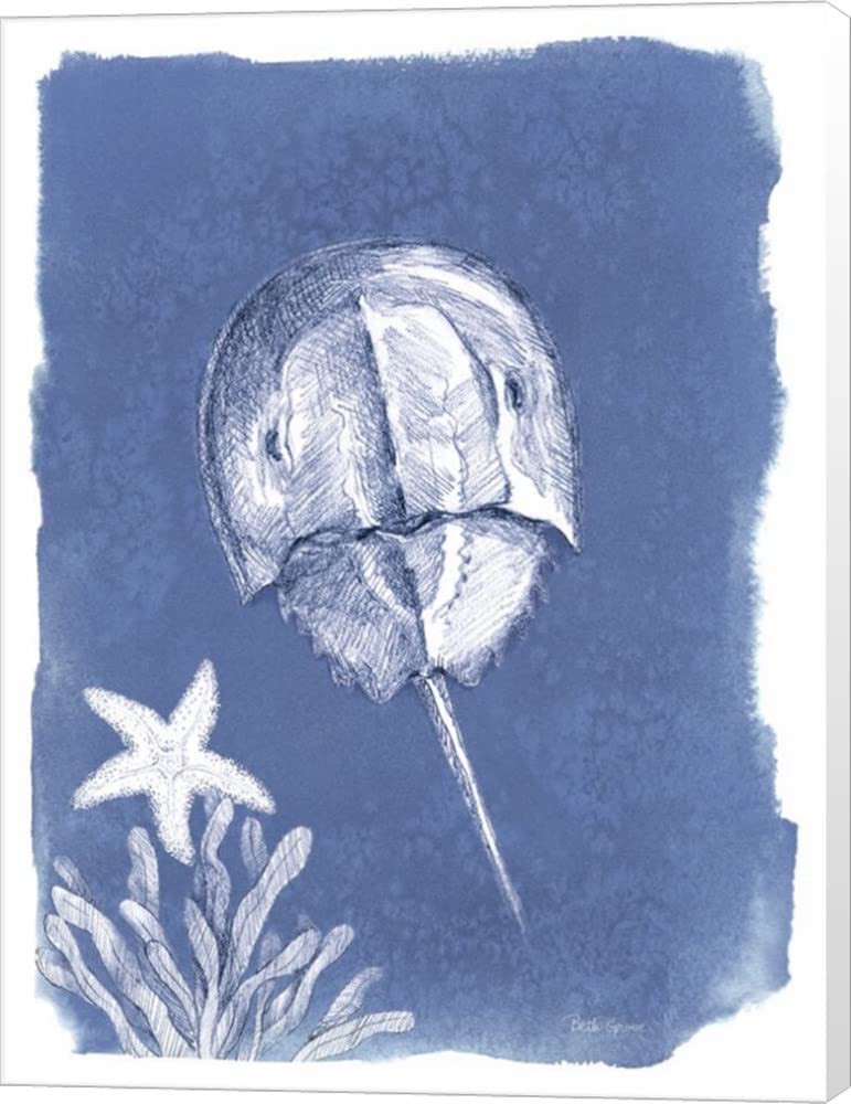 Beth Grove Coastal Sea Life VI Canvas Wall Art - 9x12 Inches Museum Wrapped Ocean Painting for Beach House Decor, Living Room & Office Wall