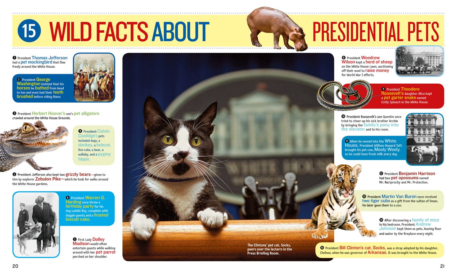 1,000 Fascinating Facts About the White House | US Presidential History & Trivia | Perfect for Students, Tourists & History Buffs
