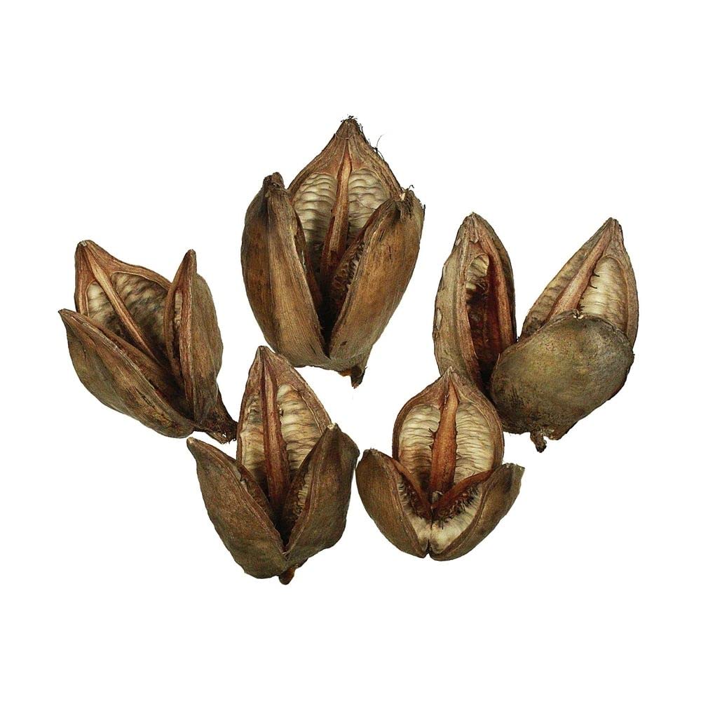 Vickerman 656310-3-4