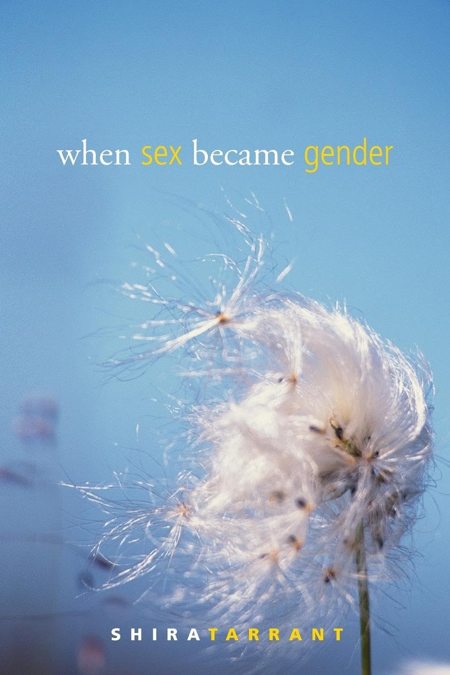 When Sex Became Gender: Feminist Theory & Gender Studies Book - Perspectives on Gender for Academic Research & Social Justice Discussions