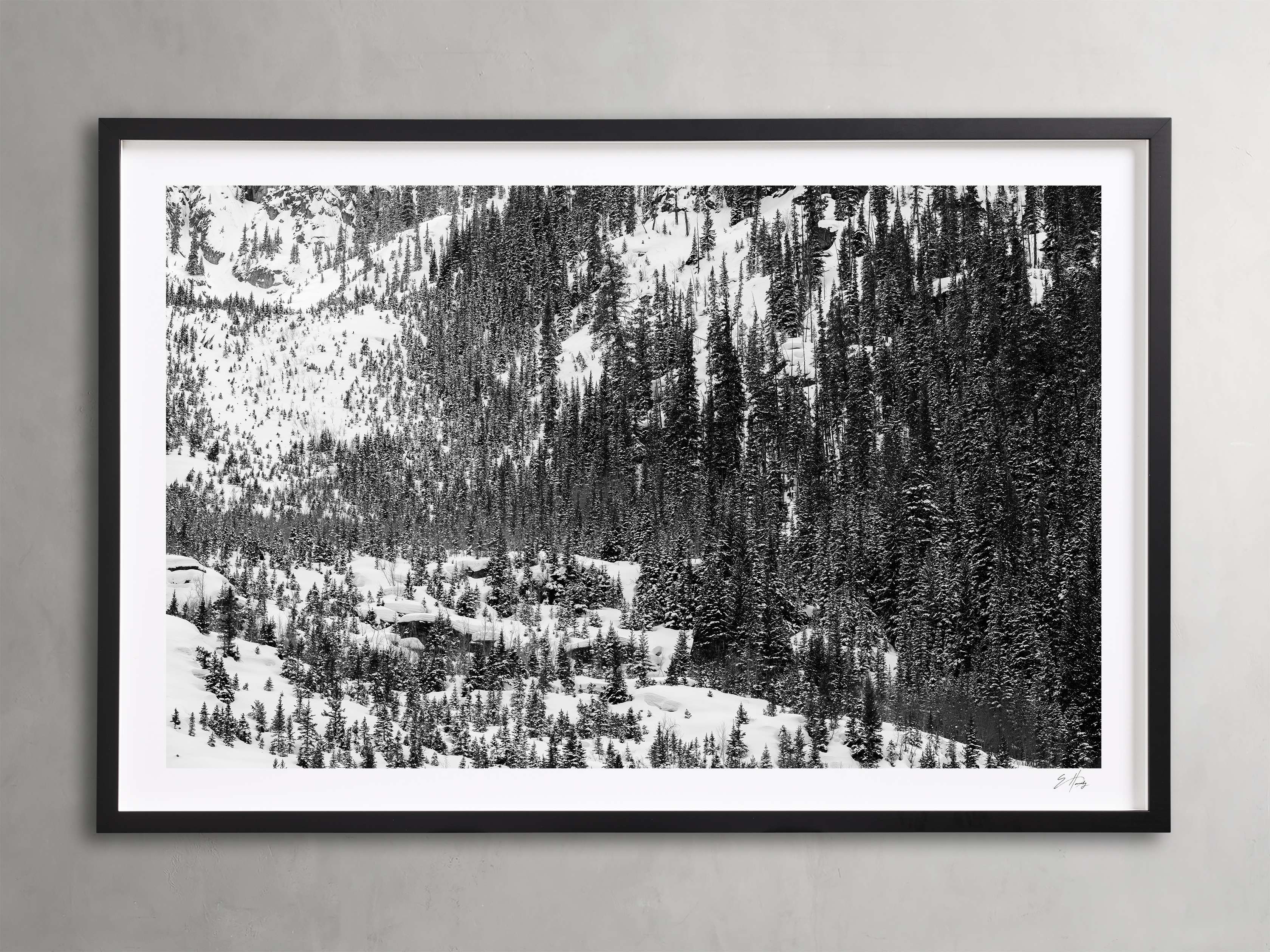 Aspen Allure I Framed Print - Nature Landscape Wall Art for Home & Office Decor - Perfect for Living Room, Bedroom, or Office