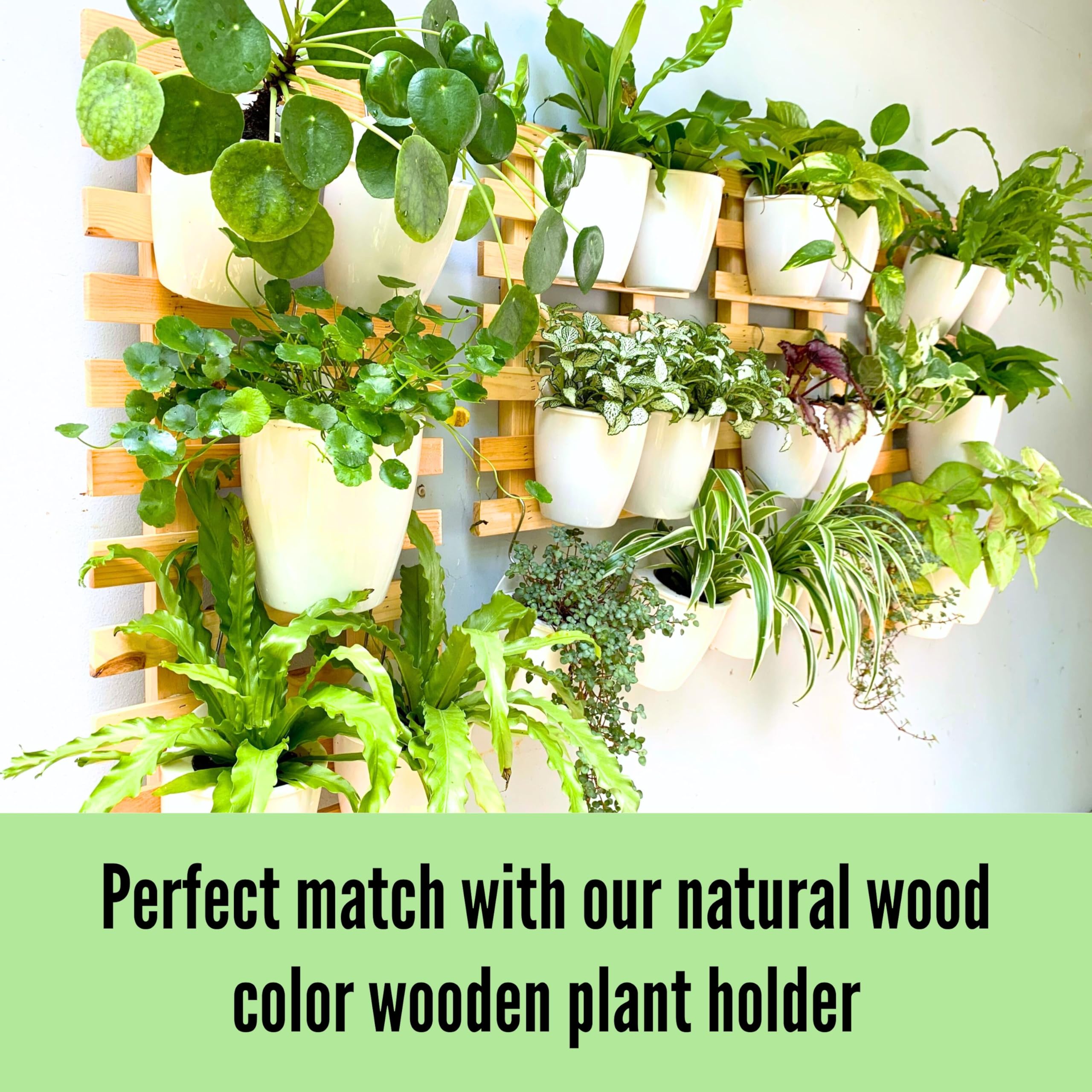 5 Inch Self Watering Plant Pots with 2 Wooden Wall Mount Holders - Indoor Vertical Garden Kit for Herbs, Succulents & Small Plants | Perfect for Kitchen, Balcony & Small Space Gardening