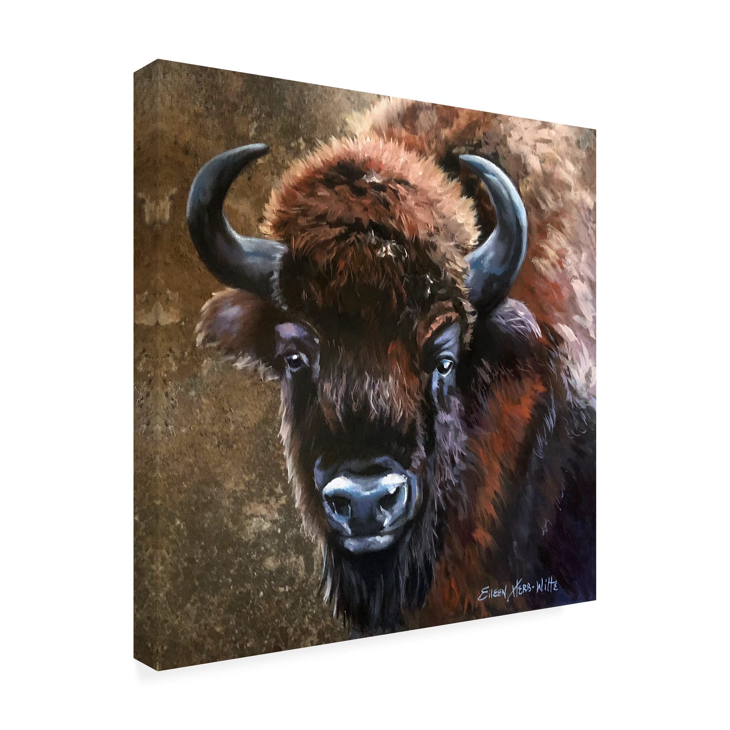 Buffalo Bob Canvas Art by Eileen Herb-Witte - Premium Trademark Fine Art Wall Decor for Living Room, Bedroom & Office