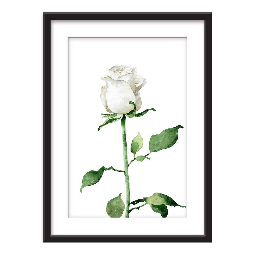 Wall26 - Framed Wall Art Print - Hand Drawn White Rose Floral Painting in Black Picture Frame with White Mat - 23x31 Inches - Perfect for Living Room, Bedroom & Office Decor