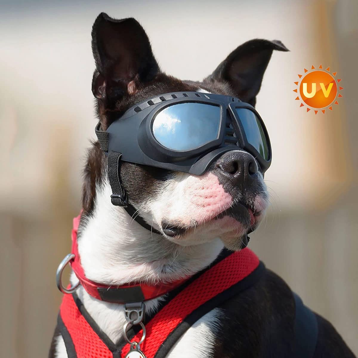 UV Protection Dog Sunglasses - Windproof Goggles for Small/Medium/Large Dogs - Blue Lens for Outdoor Adventures