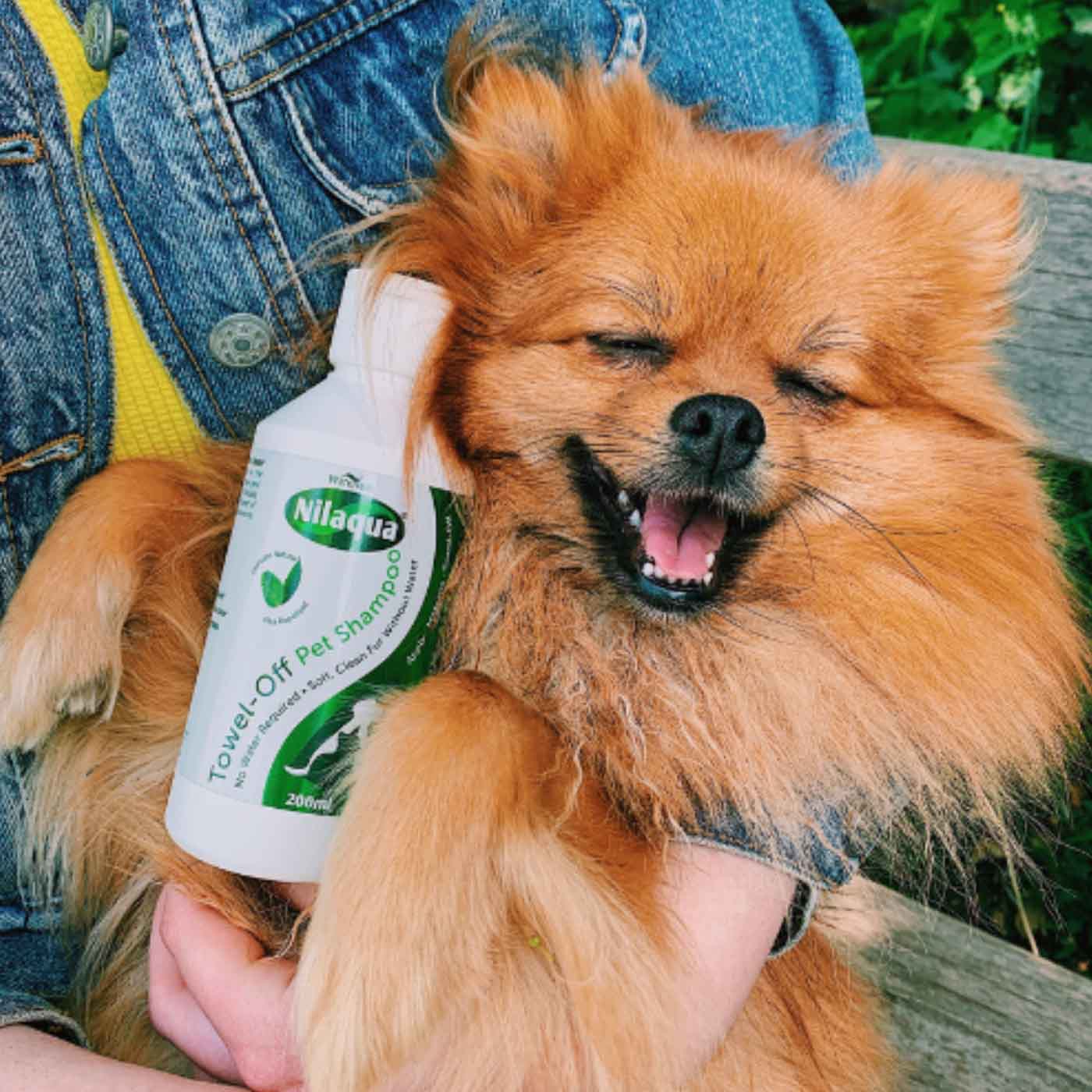 Nilaqua Peppermint Natural Flea & Tick Repellent Pet Shampoo - No Rinse Dog & Cat Wash for Easy Bathing at Home or Travel