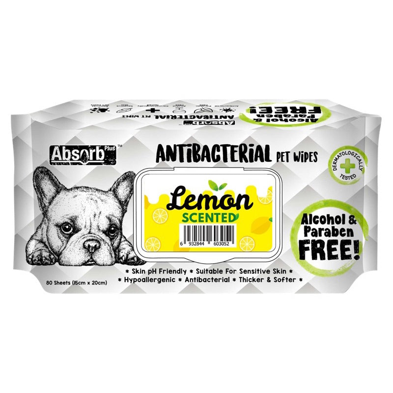 Absorb Plus Antibacterial Scented Pet Wipes - 80 Count | Gentle Cleaning for Dogs & Cats | Freshens & Deodorizes Fur | Perfect for Grooming, Travel & Post-Walk Cleanup