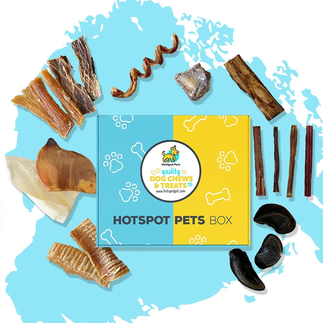 Premium All-Natural Small Dog Chews Variety Pack - 15-Piece Combo of Beef Bully Sticks, Tendons, Ears & Jerky - Healthy Rawhide-Free Dog Treats for Training, Rewards & Dental Care - Ideal for Puppies & Small Breeds