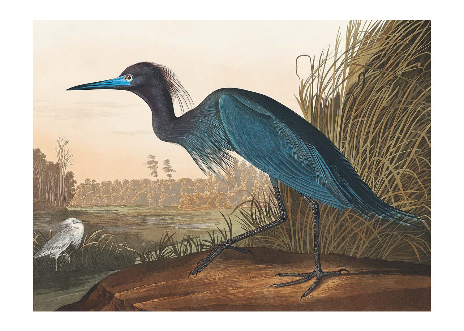 Vintage Blue Crane Bird Print Wall Art - Handmade Canvas Painting for Home Decor, Living Room, Bedroom & Office