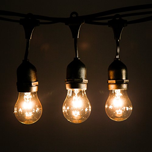 A15 15 Watt Bulbs