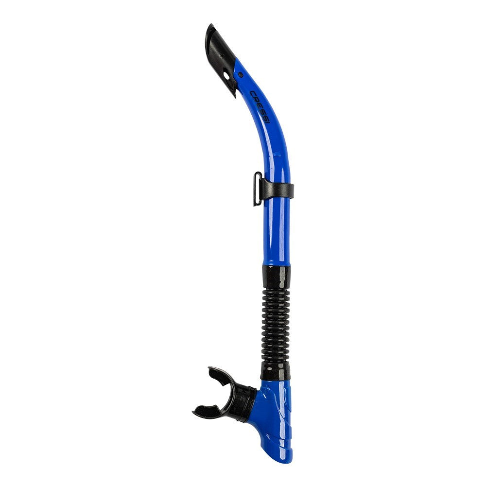 Black/Blue