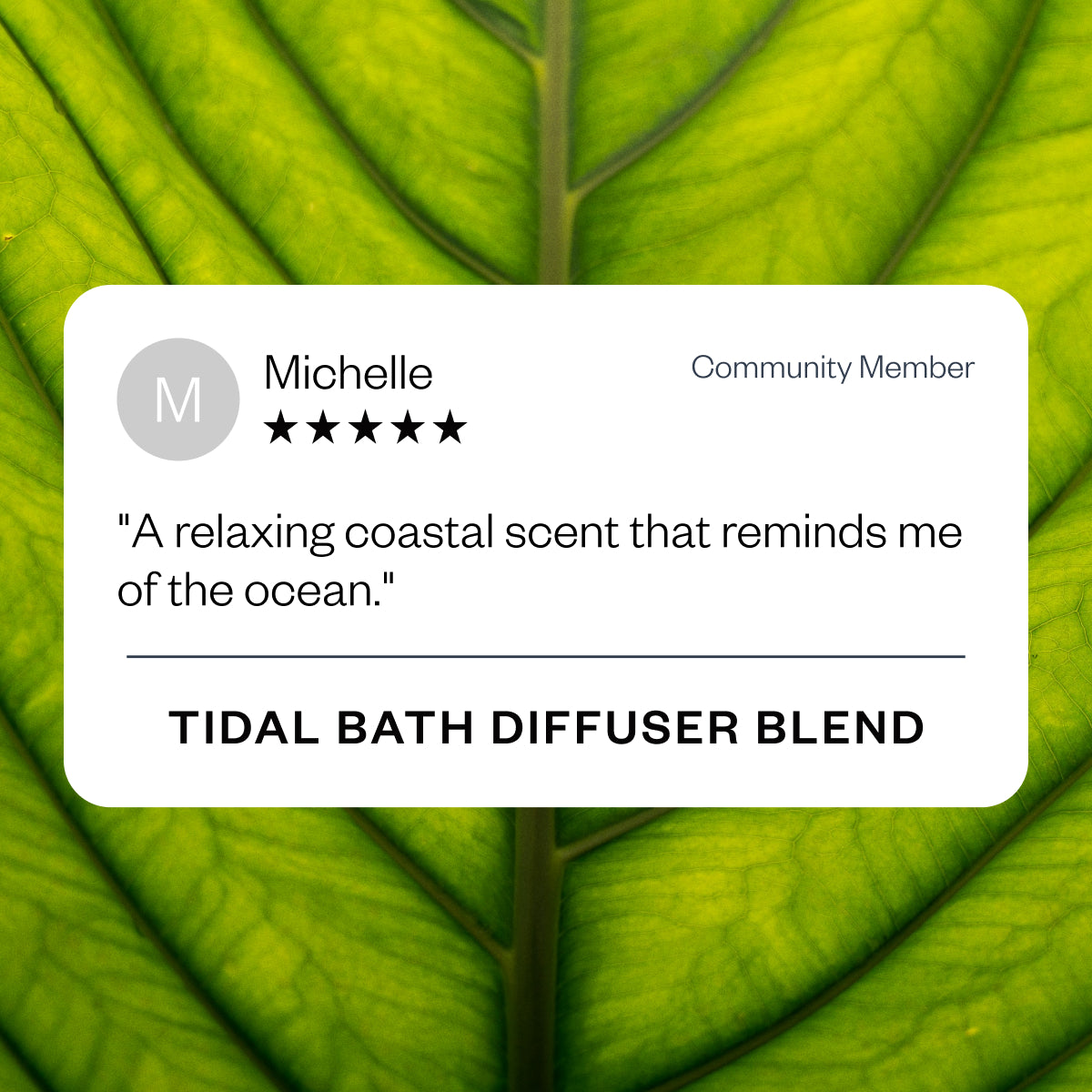 Tidal Bath Purifying Diffuser Blend - Essential Oil Aromatherapy for Relaxation & Stress Relief - Perfect for Bath, Spa & Home Wellness