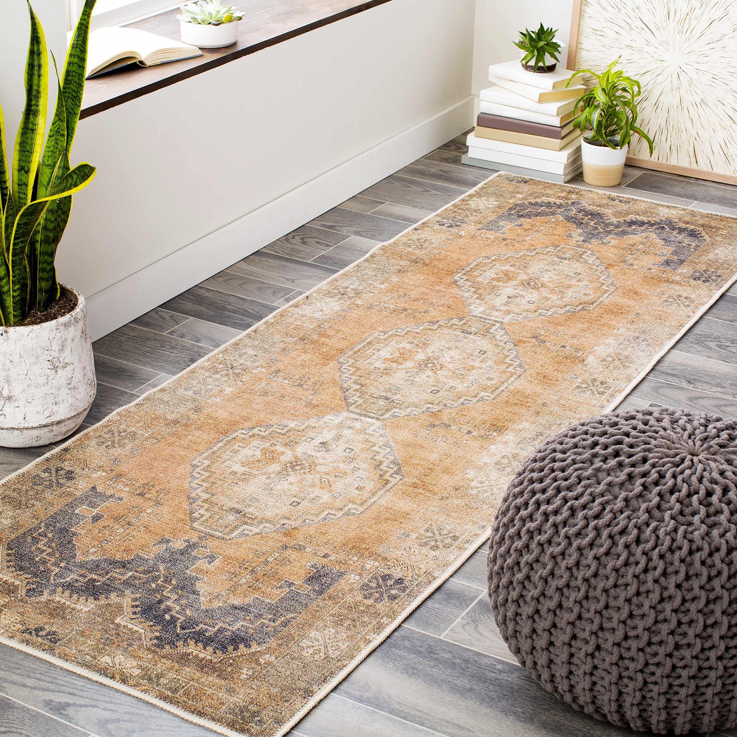 Hauteloom Carrabelle Traditional Machine Washable Area Rug - Blue, Ivory, Brown - 8'10