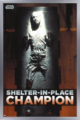 Silver Framed Version