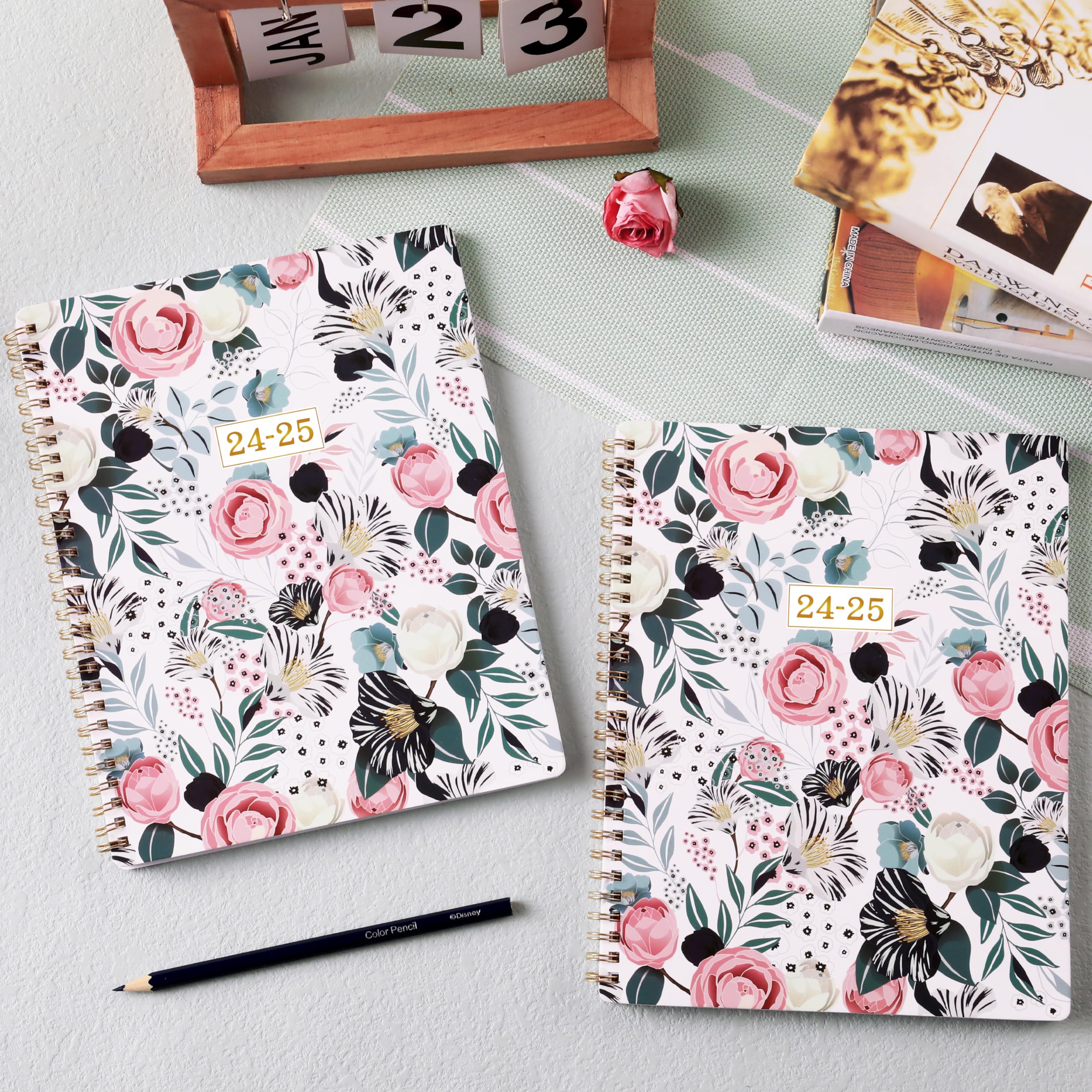 2024-2025 Weekly & Monthly Academic Planner with Tabs - July 2024 to June 2025, 8
