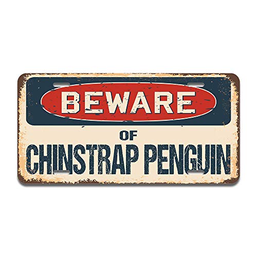 Beware of Chinstrap Penguin