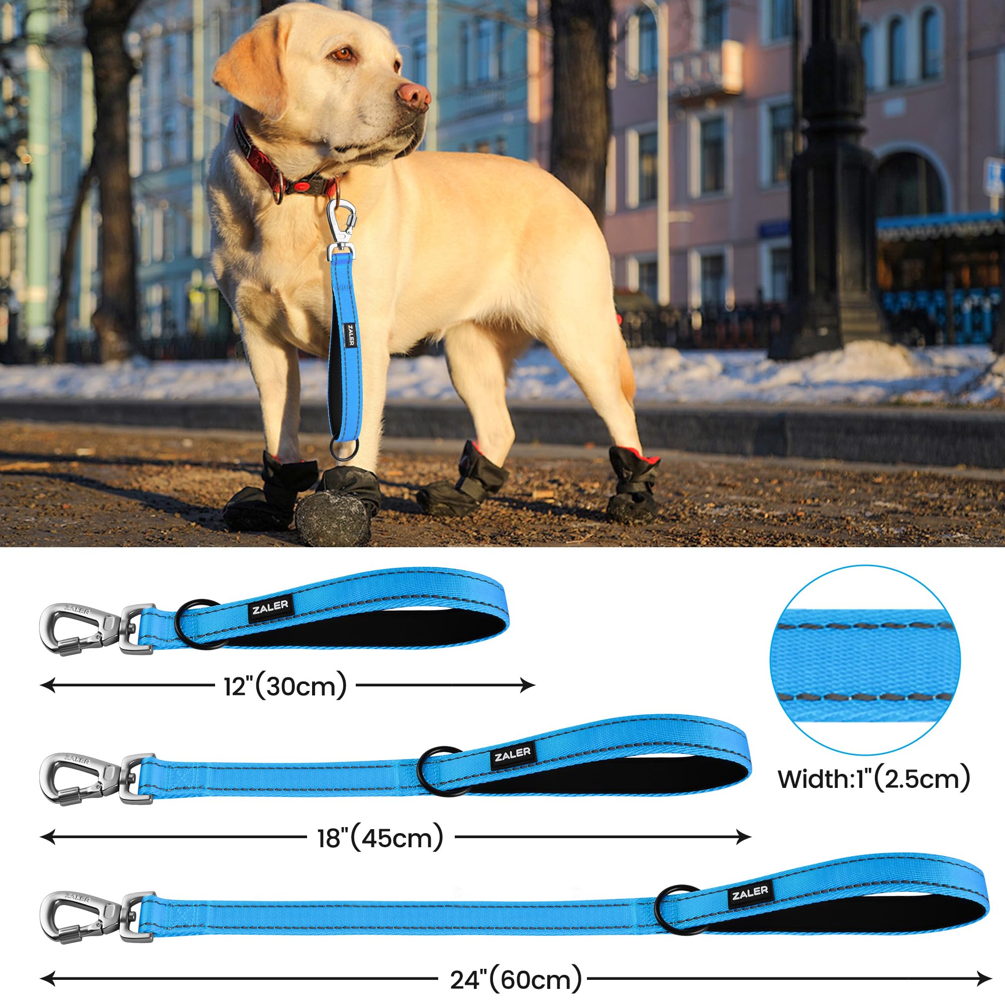 ZALER 18-Inch Reflective Nylon Dog Leash with Padded Handle - Heavy Duty Pet Lead with Carabiner Clip for Large & Medium Dogs (Blue) - Perfect for Walking, Training & Nighttime Safety
