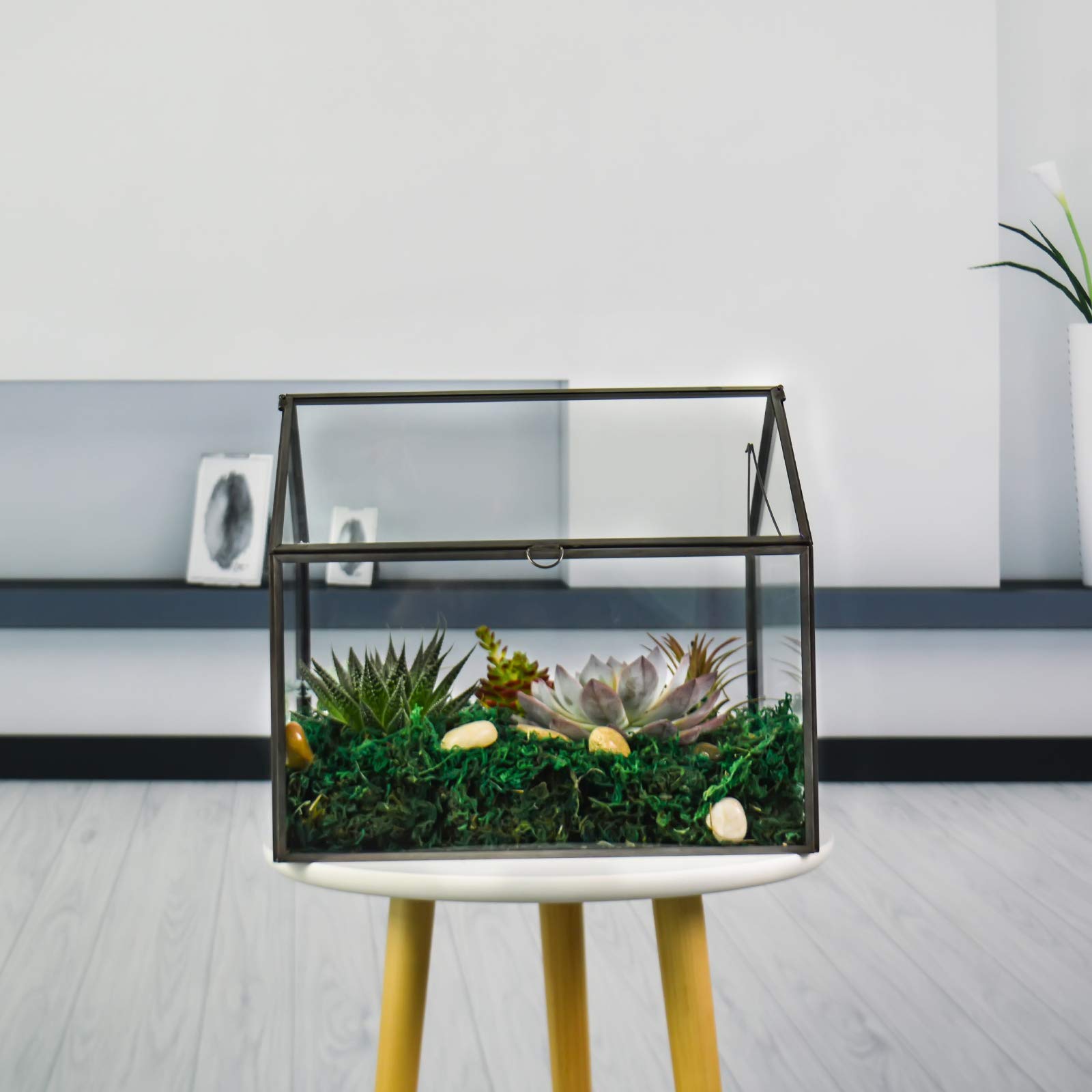 Large Glass Plant Terrarium for Succulents - 12.26x9.15x10.9 Inch Black Greenhouse Terrarium Kit with Lip | Perfect for Home Decor, Office Plants & Indoor Gardening Gifts