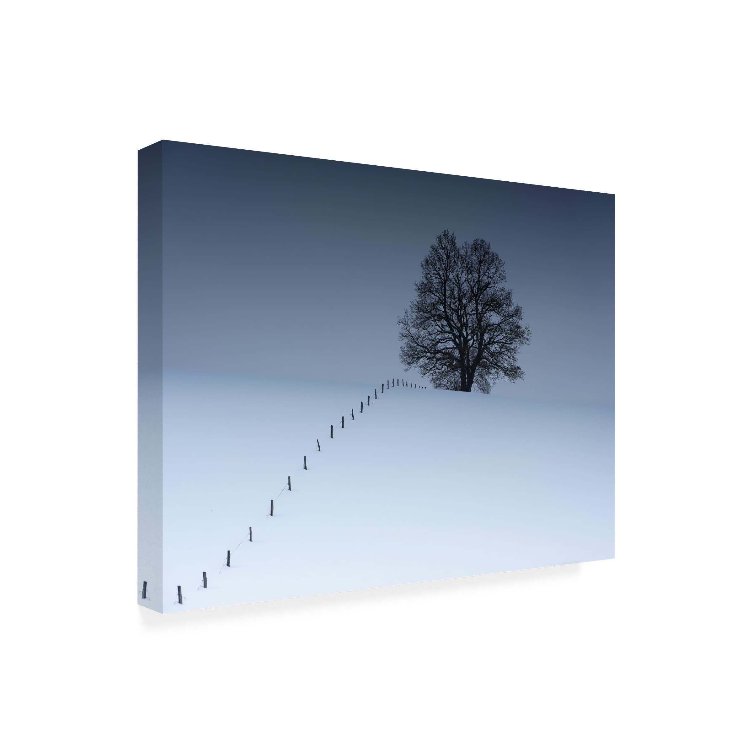 Trademark Fine Art 'Sequence' Canvas Wall Art by Alexej Schulz - Modern Abstract Painting for Living Room, Bedroom & Office Decor