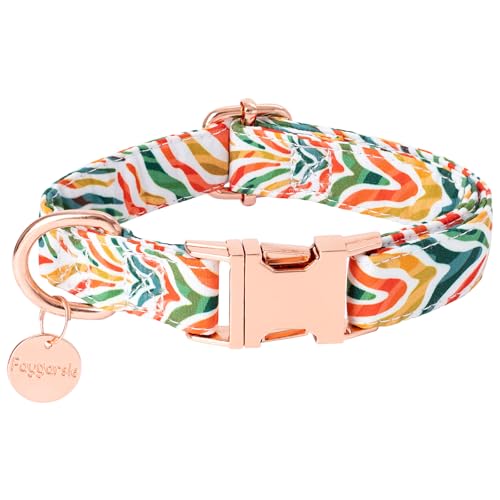 Multi-colored striped