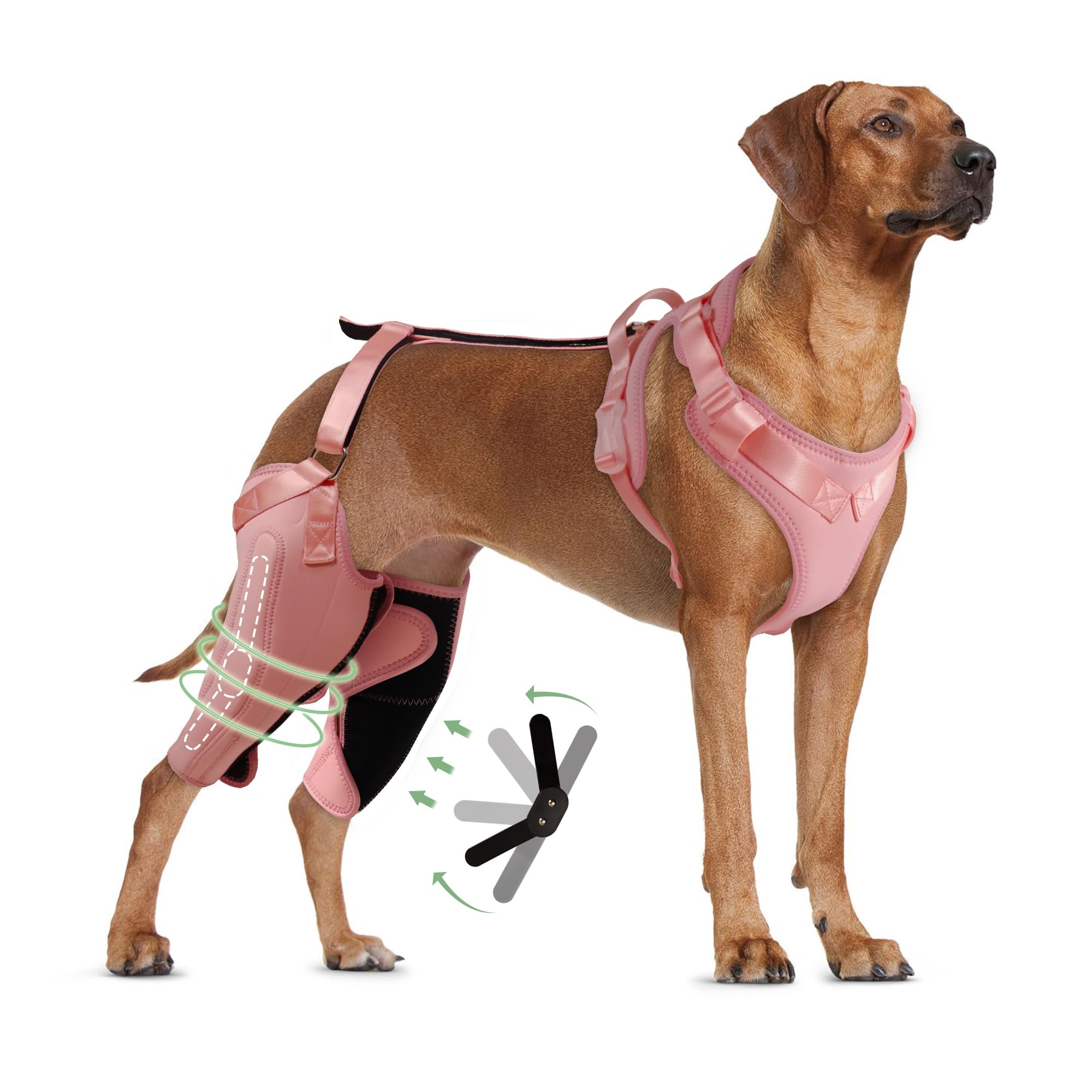 LISPOO Dog Knee Brace for Torn ACL & Luxating Patella - Adjustable Dog Leg Braces for Hind Leg Support - Cruciate Ligament Stabilizer - Warm Joint Pain Relief - Double Knee Brace (XLP) - Perfect for Post-Surgery Recovery & Active Dogs