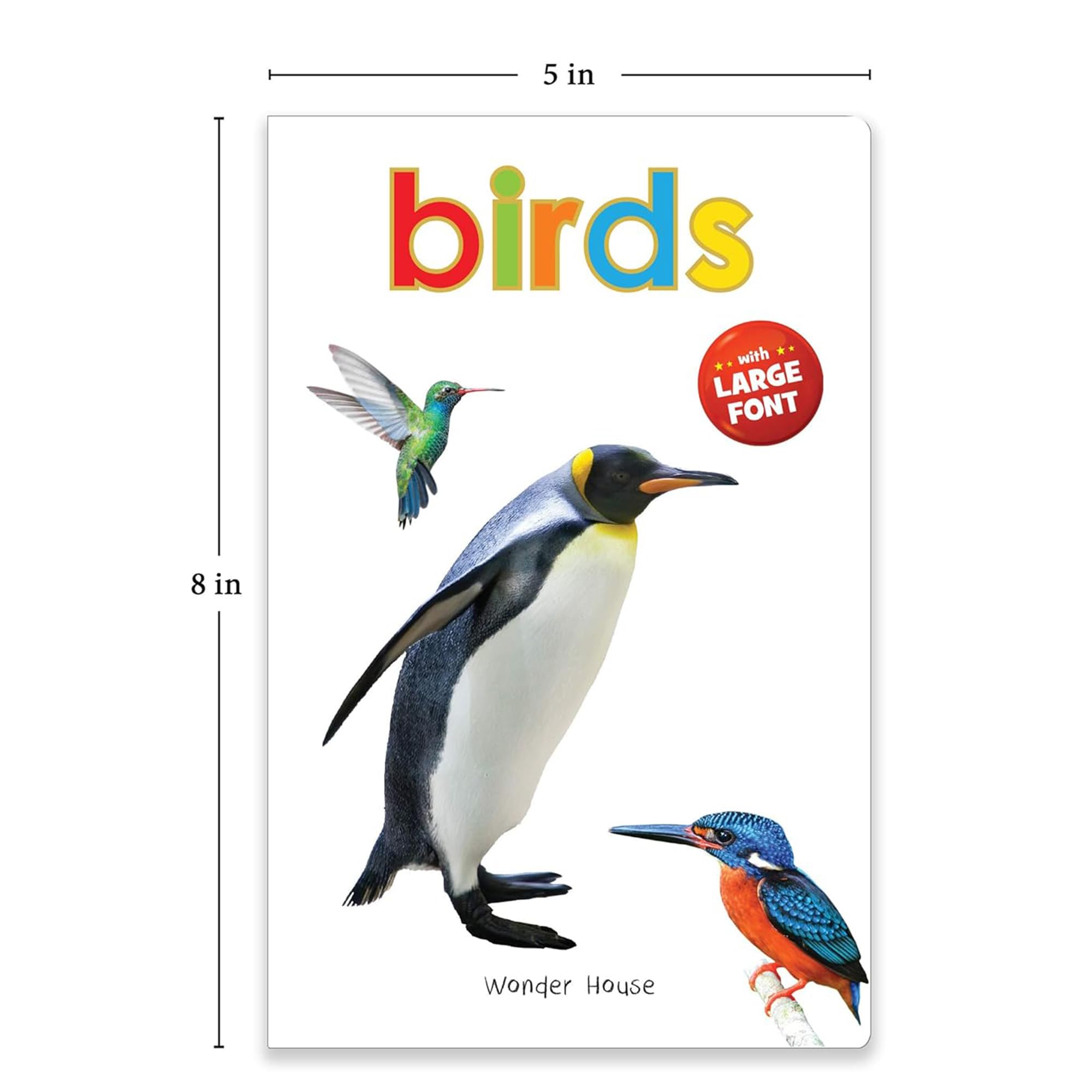 Birds - Big Board Books for Toddlers & Babies | Durable Early Learning Picture Book for Kids | Perfect for Storytime, Gifts & Preschool Education