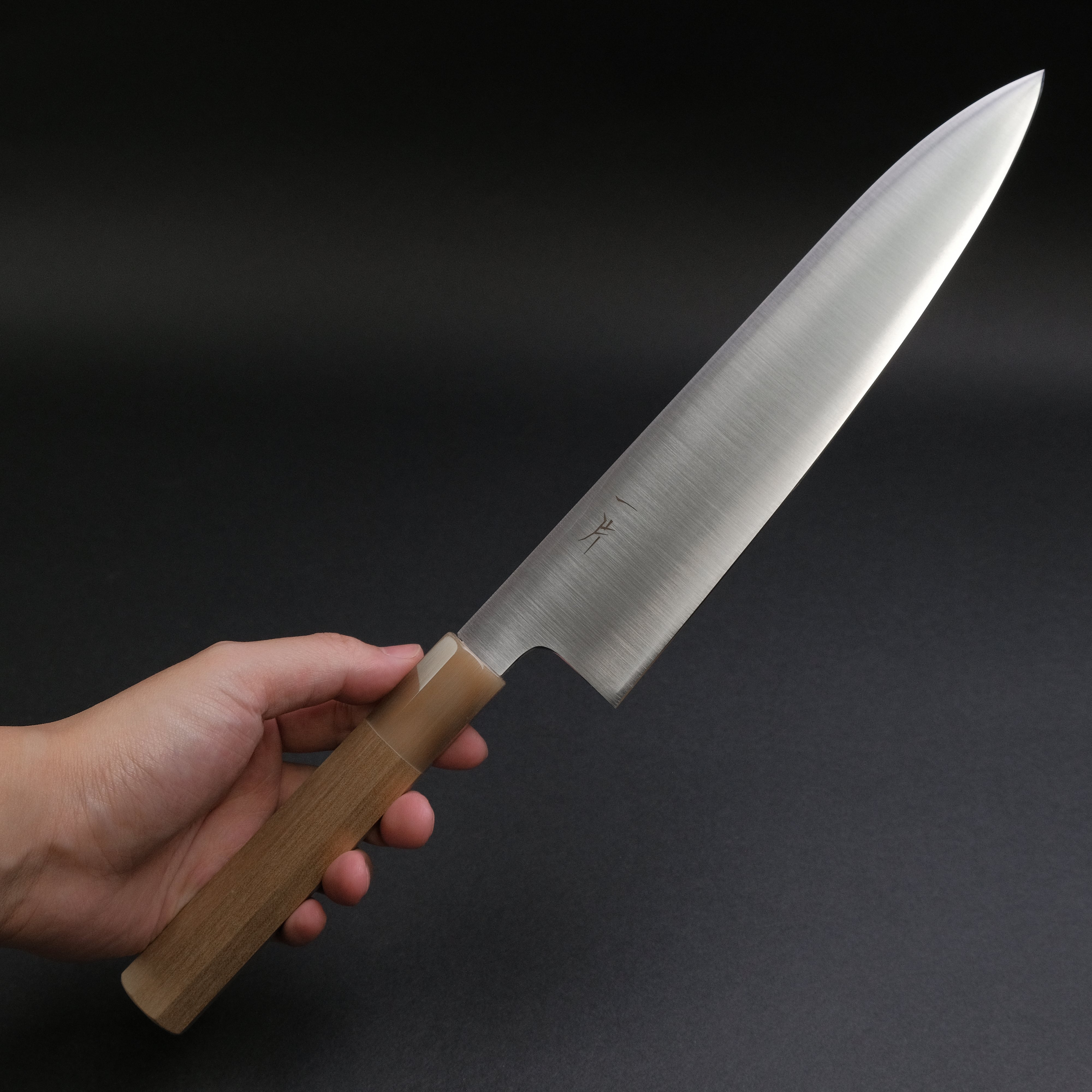 Hitohira FJ VG-10 Gyuto Japanese Chef Knife 240mm with Taihei Ho Wood Handle - Professional Kitchen Tool for Sushi, Meat Cutting & Food Preparation