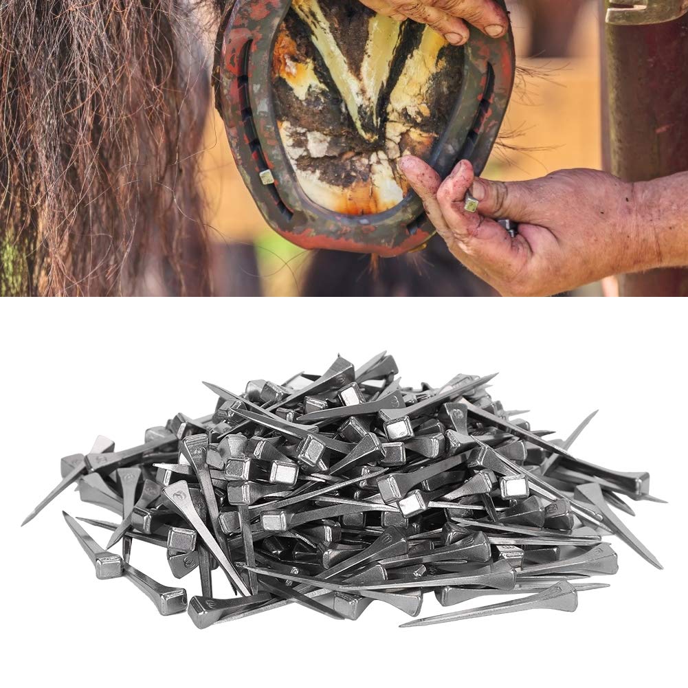 250Pcs Horseshoe Nails for Equestrian Sports - Durable Horse Shoeing Supplies & Farrier Tools - Perfect for Horse Care, Stable Maintenance and Professional Blacksmithing