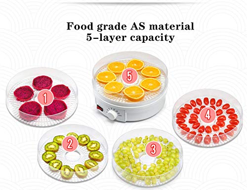 110V AnEssOil Food Dehydrator - Stainless Steel Electric Drying Machine for Fruits, Vegetables, Herbs & Meat | Healthy Snacks Maker for Home, Camping & Food Preservation