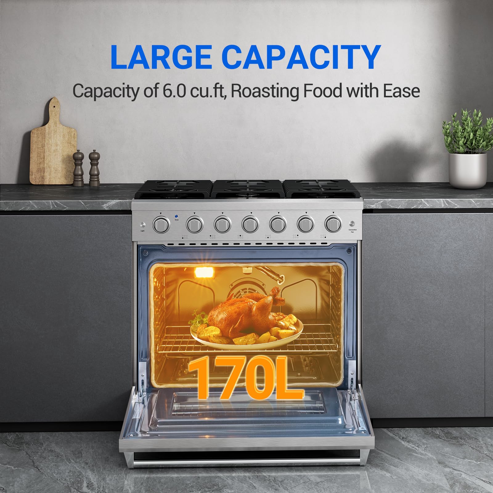 36 Inch Freestanding Gas Range Oven with 6 Burners & True Convection - 6 Cu. Ft Capacity, Self-Cleaning Stainless Steel Stove with Halogen Light - Perfect for Home Kitchens & Commercial Cooking