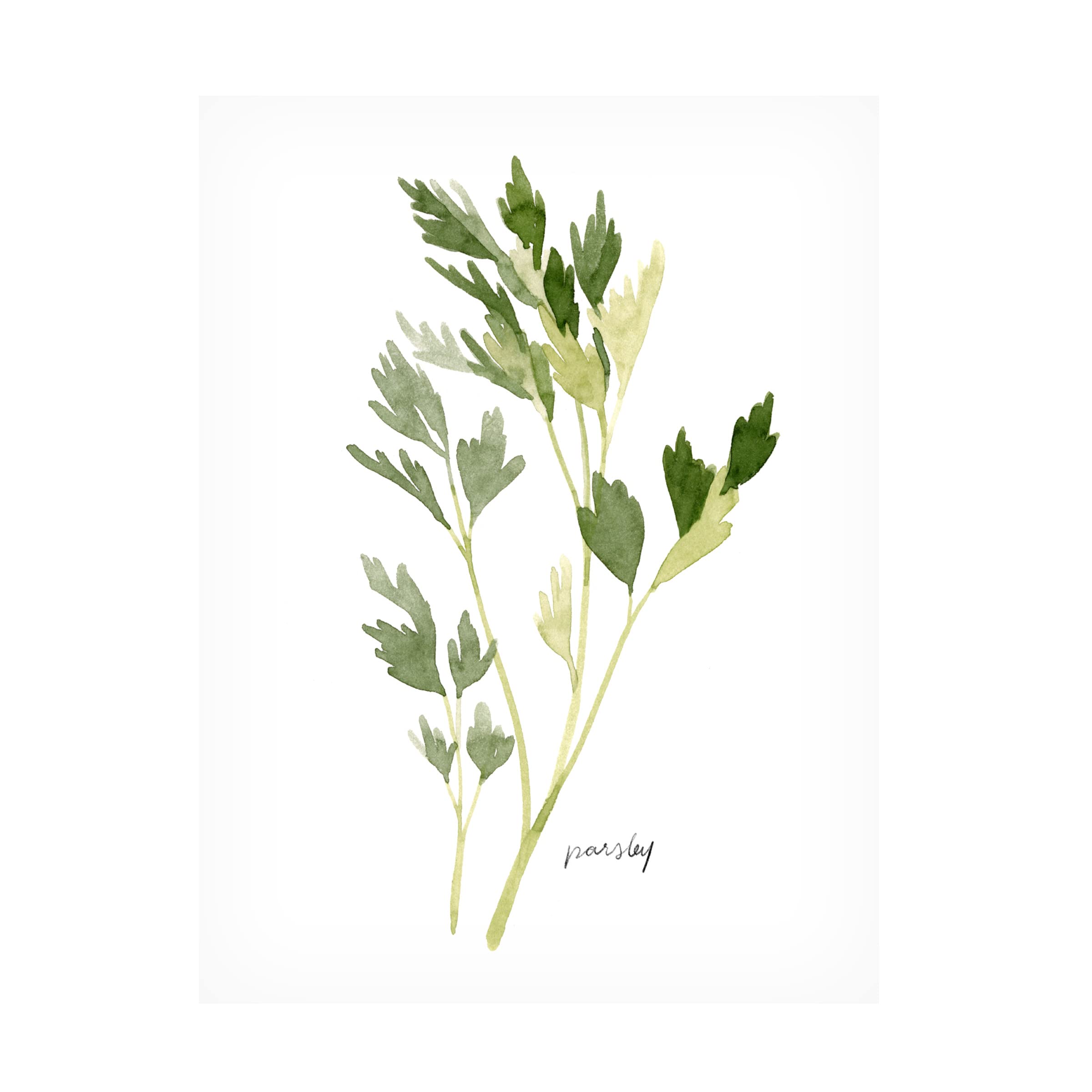 Emma Scarvey 'Herb Garden Sketches II' Canvas Wall Art Print - Botanical Kitchen Decor, Home Office & Living Room Decorations