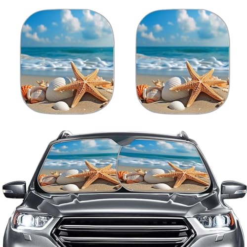 Beach Starfish