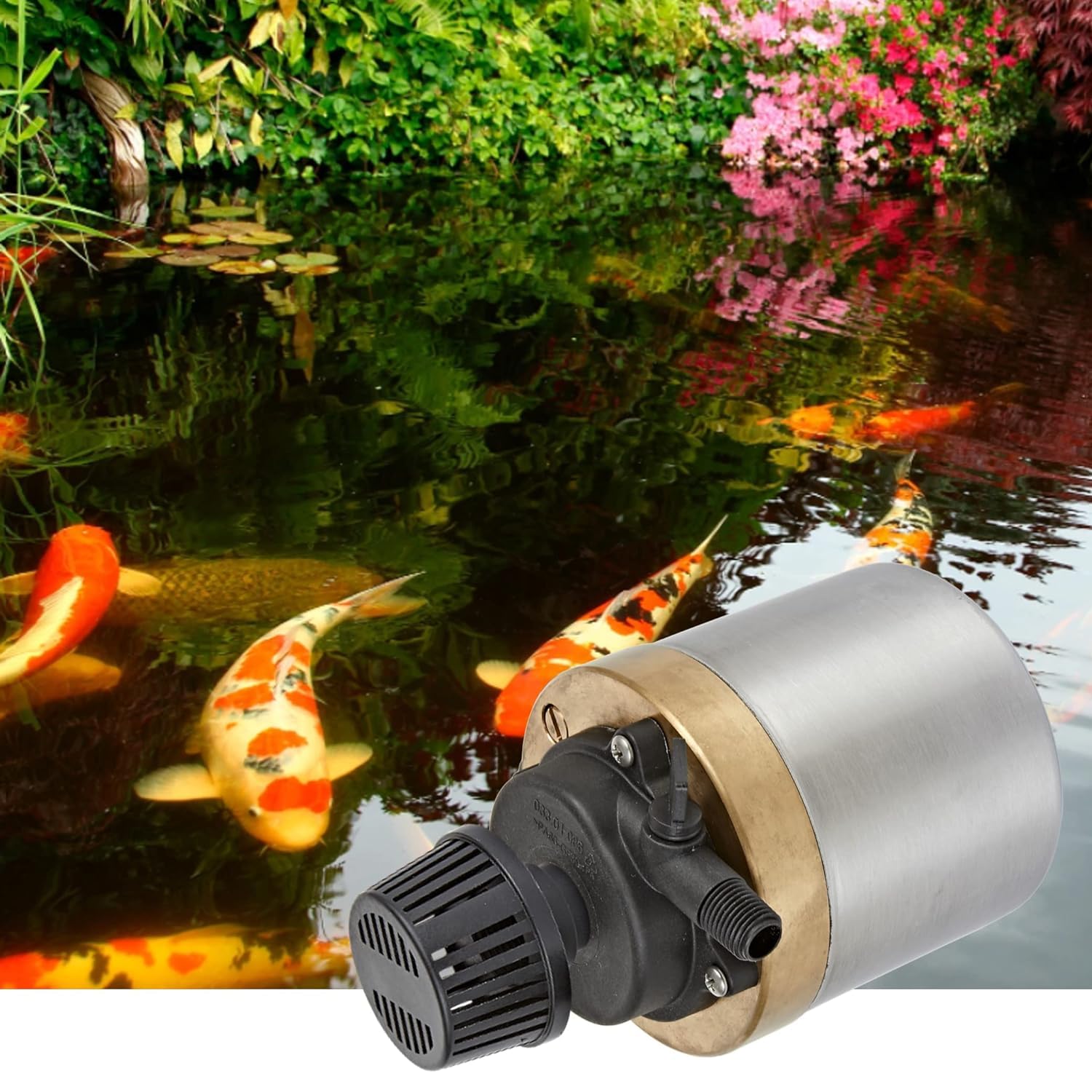 Little Giant S320PT-20 115V Oil-Free Stainless Steel & Bronze Water Pump - 335 GPH for Ponds, Fountains, Aquariums | Fresh & Saltwater Use | Durable Direct Drive Design (Model 517100001) - Perfect for Garden Water Features, Koi Ponds & Decorative Fountains