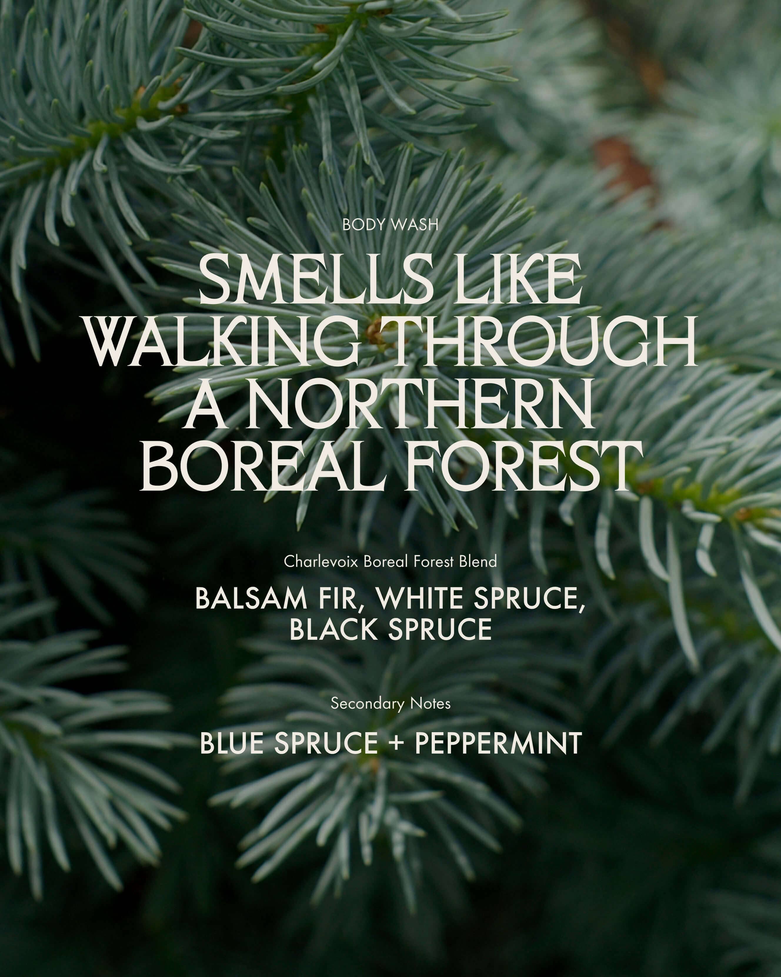 Charlevoix Boreal Forest Scented Body Wash for Men & Women - Hydrating & Refreshing Shower Gel with Natural Ingredients - Perfect for Daily Use, Spa Days & Relaxing Bath Time