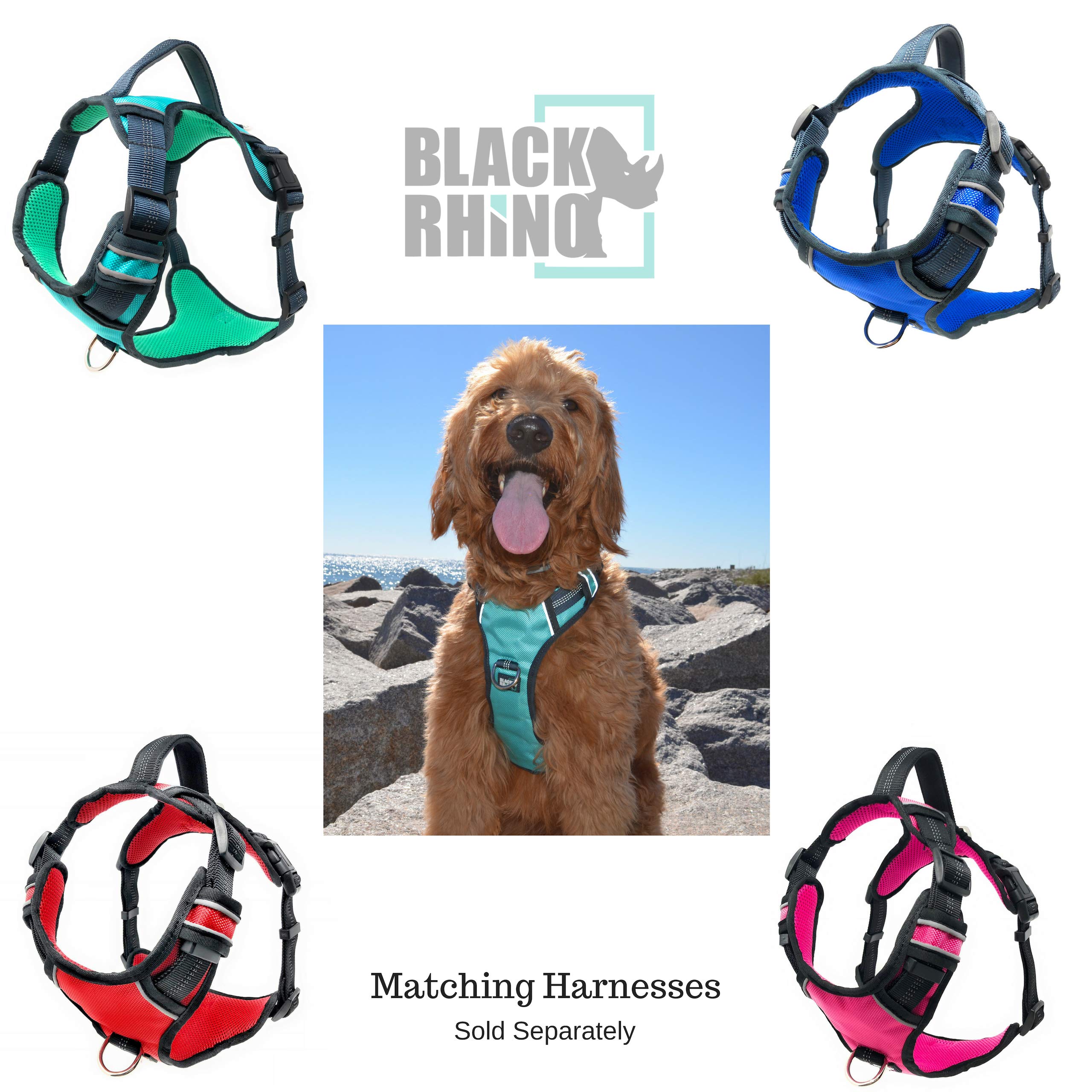 Black Rhino Hands-Free Dog Leash - Adjustable Bungee Leash for Running, Walking, Jogging & Hiking with Neoprene Padded Handles - Perfect for Medium to Large Dogs (Blue/Green) - Includes Free Running Pouch | Ideal for Outdoor Adventures, Park Visits & Daily Exercise