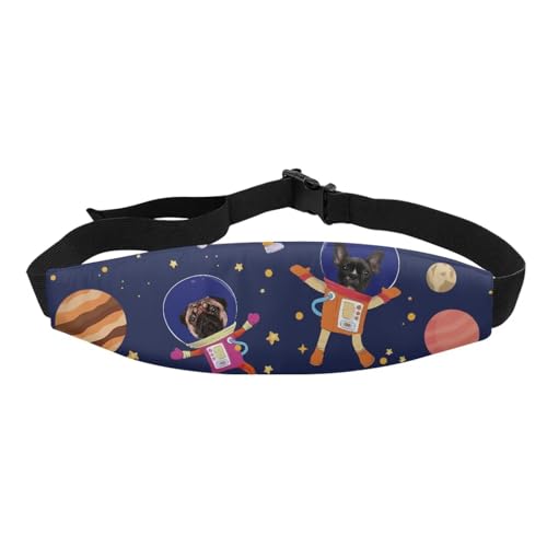 Astronauts Pug